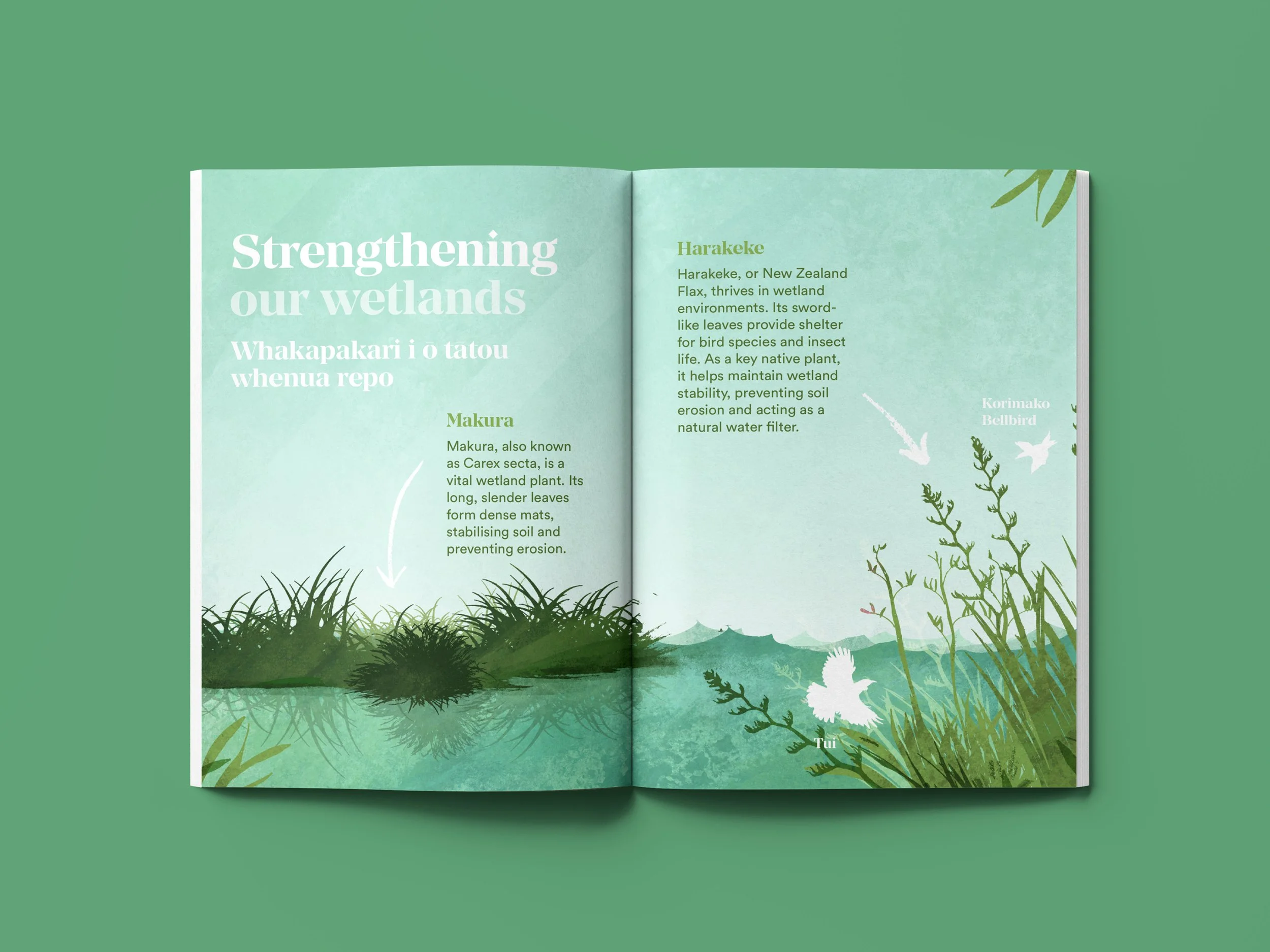 Wetlands-Mockup.jpg