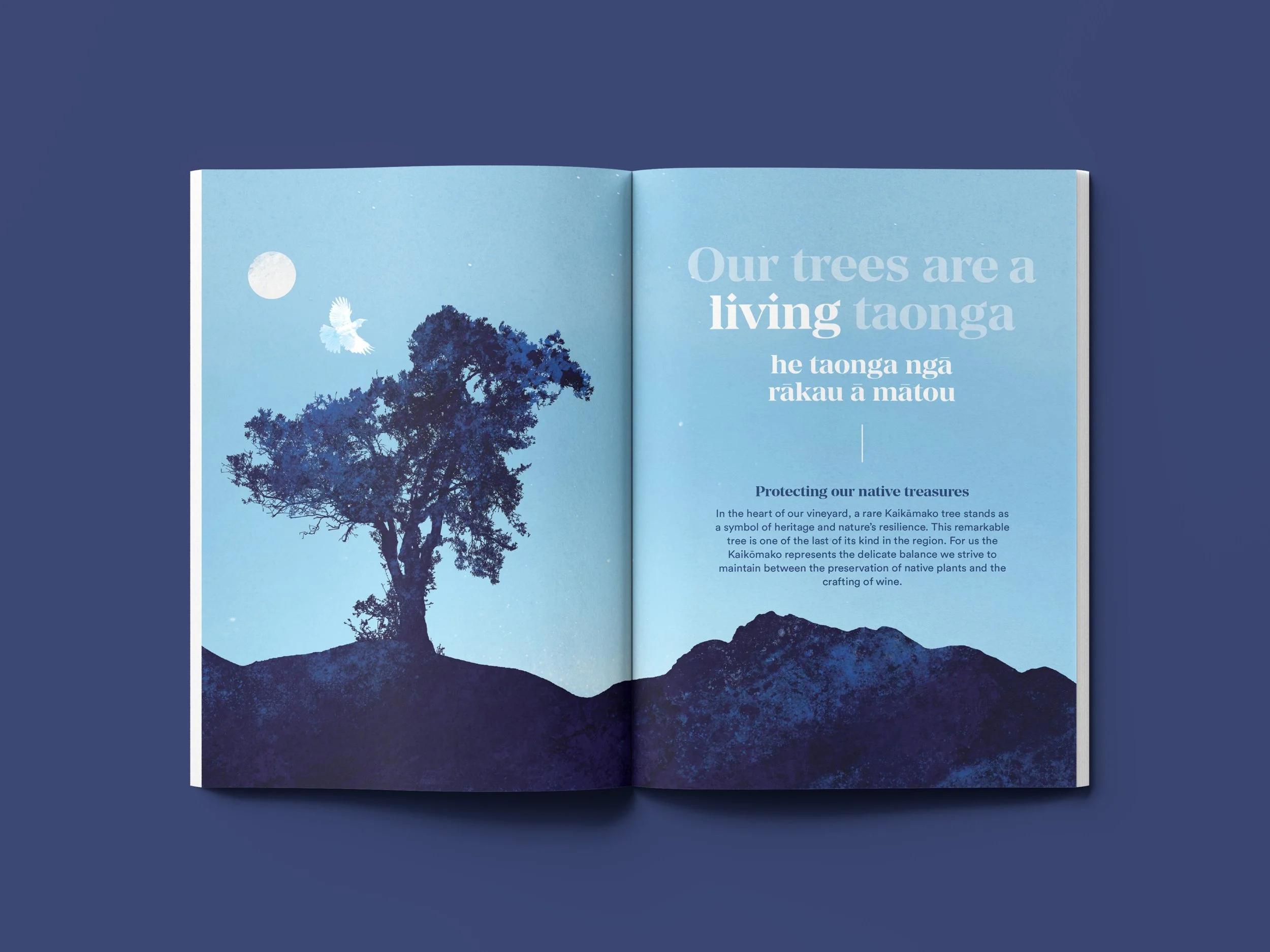 Taonga-Spread-Mockup.jpg