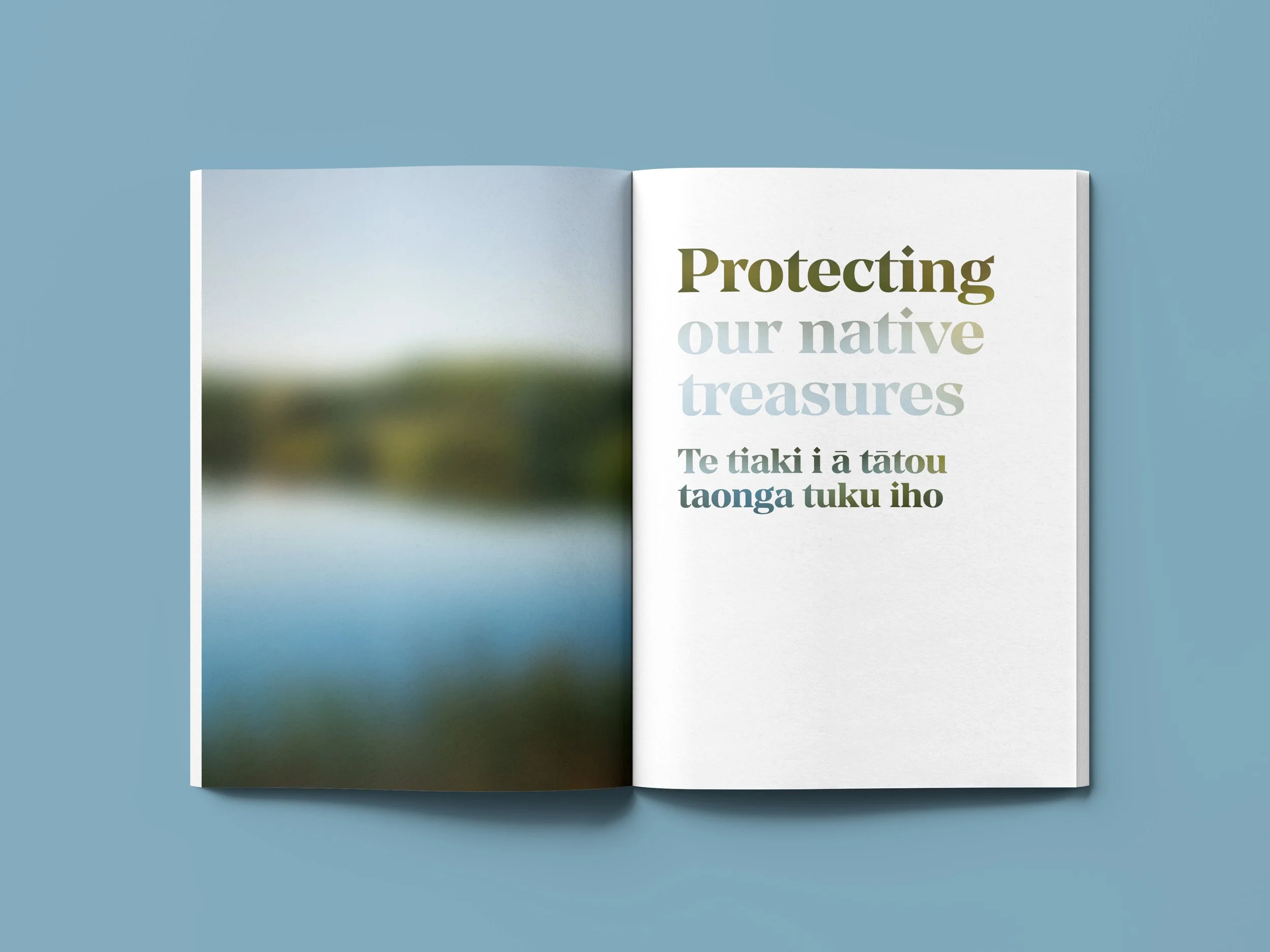 Divider01-mockup.jpg