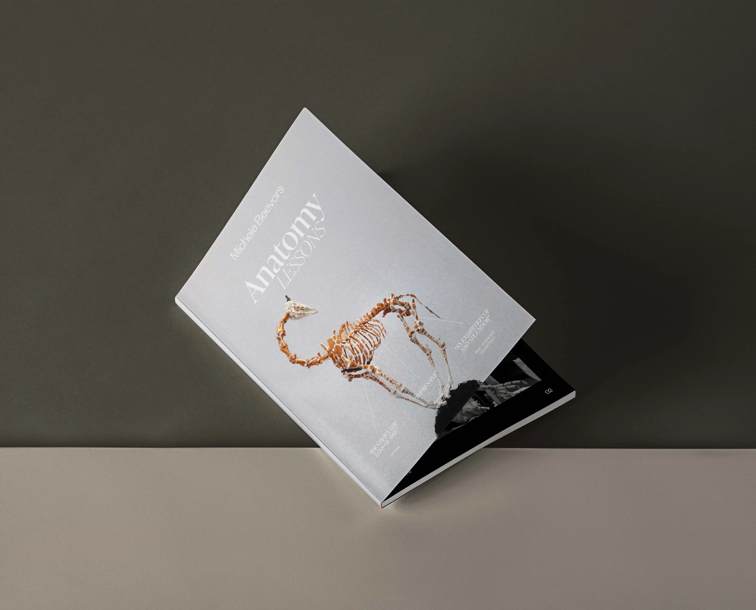 Catalog-Magazine-Free-Mockup-Presentation.jpg