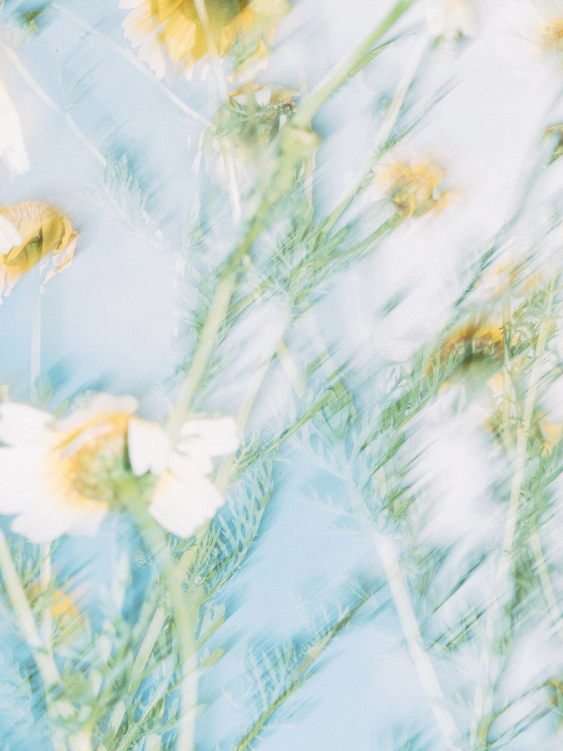 C.03 — No.06, 2025_Margo Ducharme