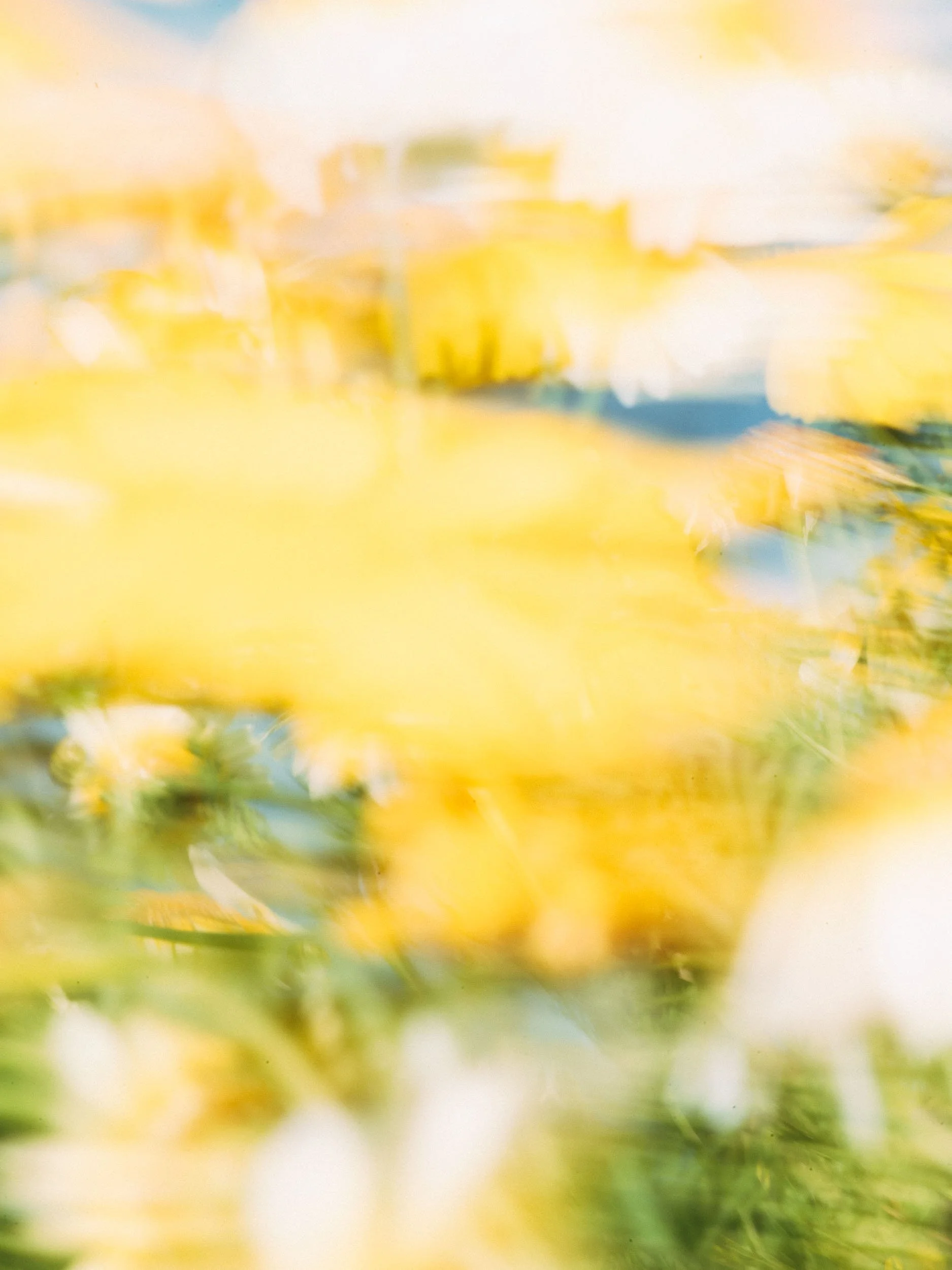 C.05 — № 09, 2025