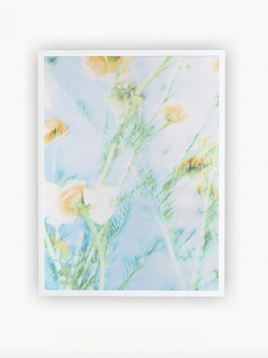 C.05 — № 06, 2025