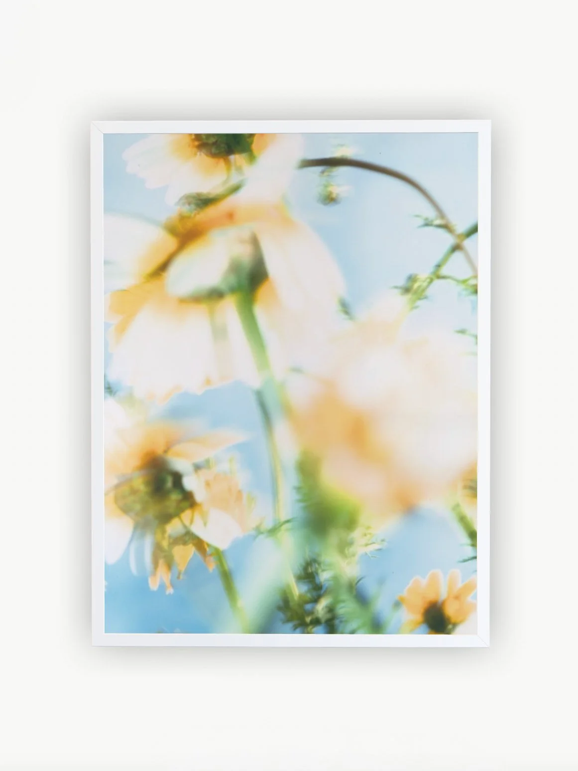 C.05 — № 04, 2025