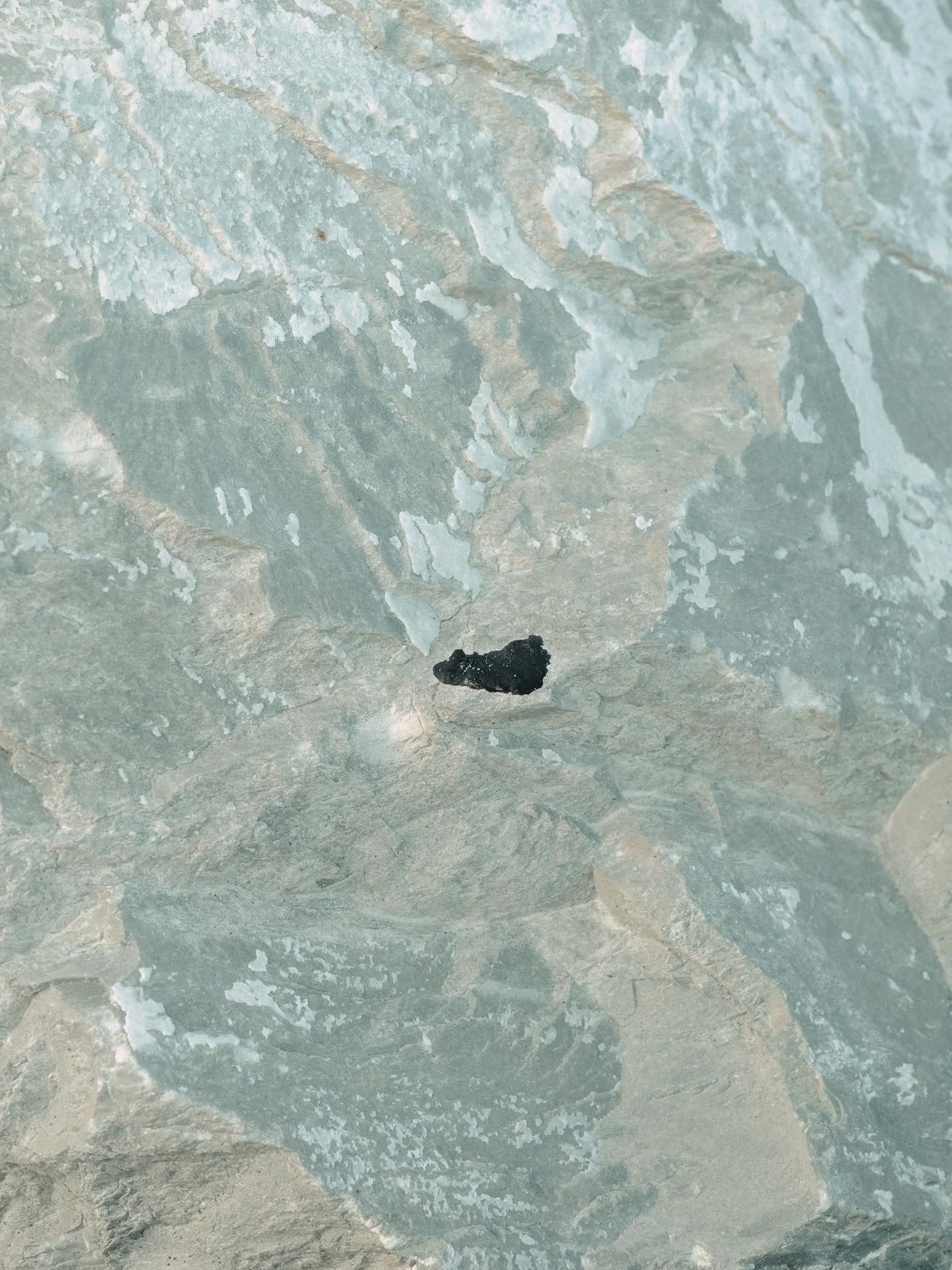 Close-up view of a textured rocky surface with a small piece of black material attached to it.