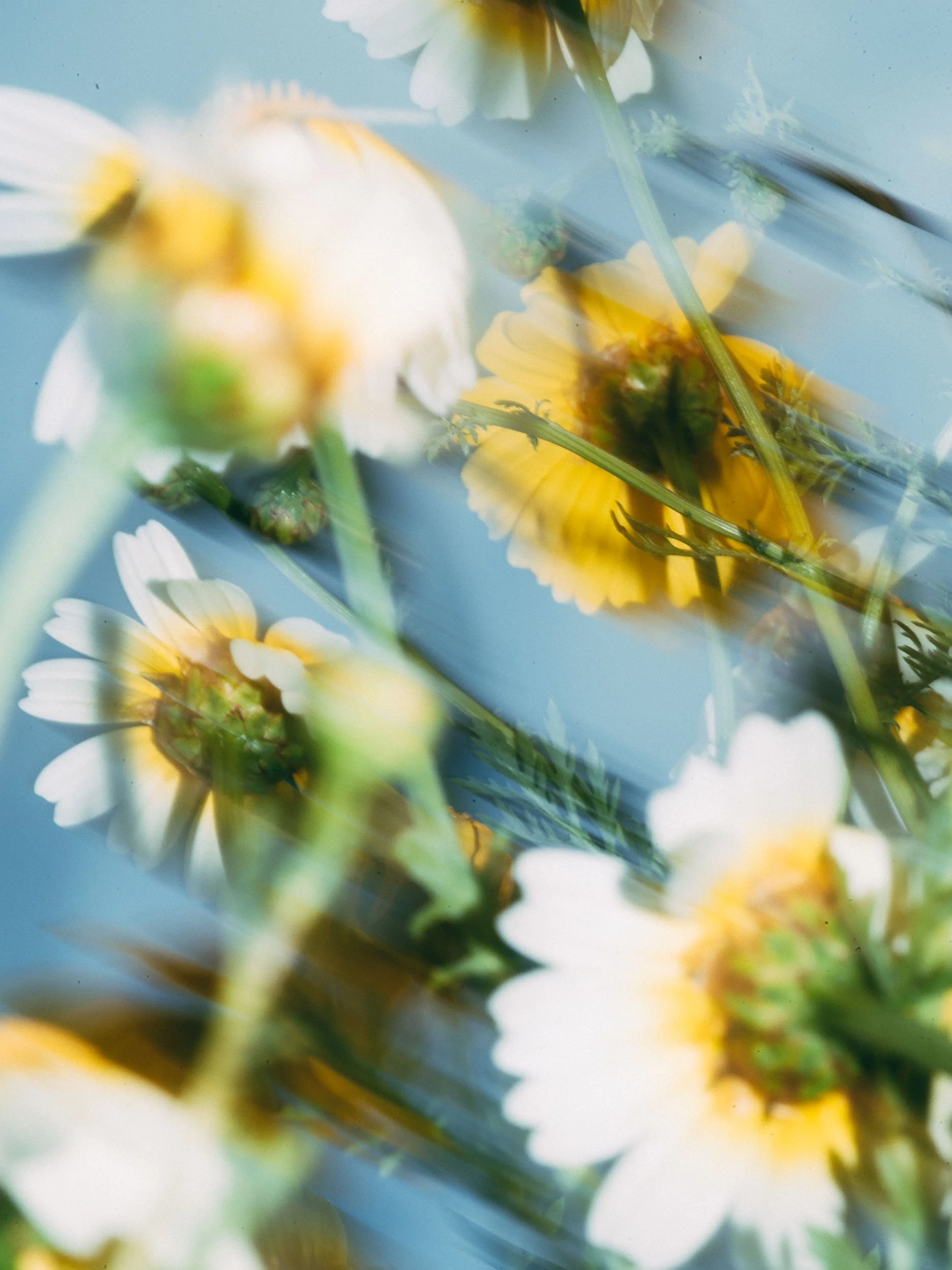 C.05 — № 03, 2025