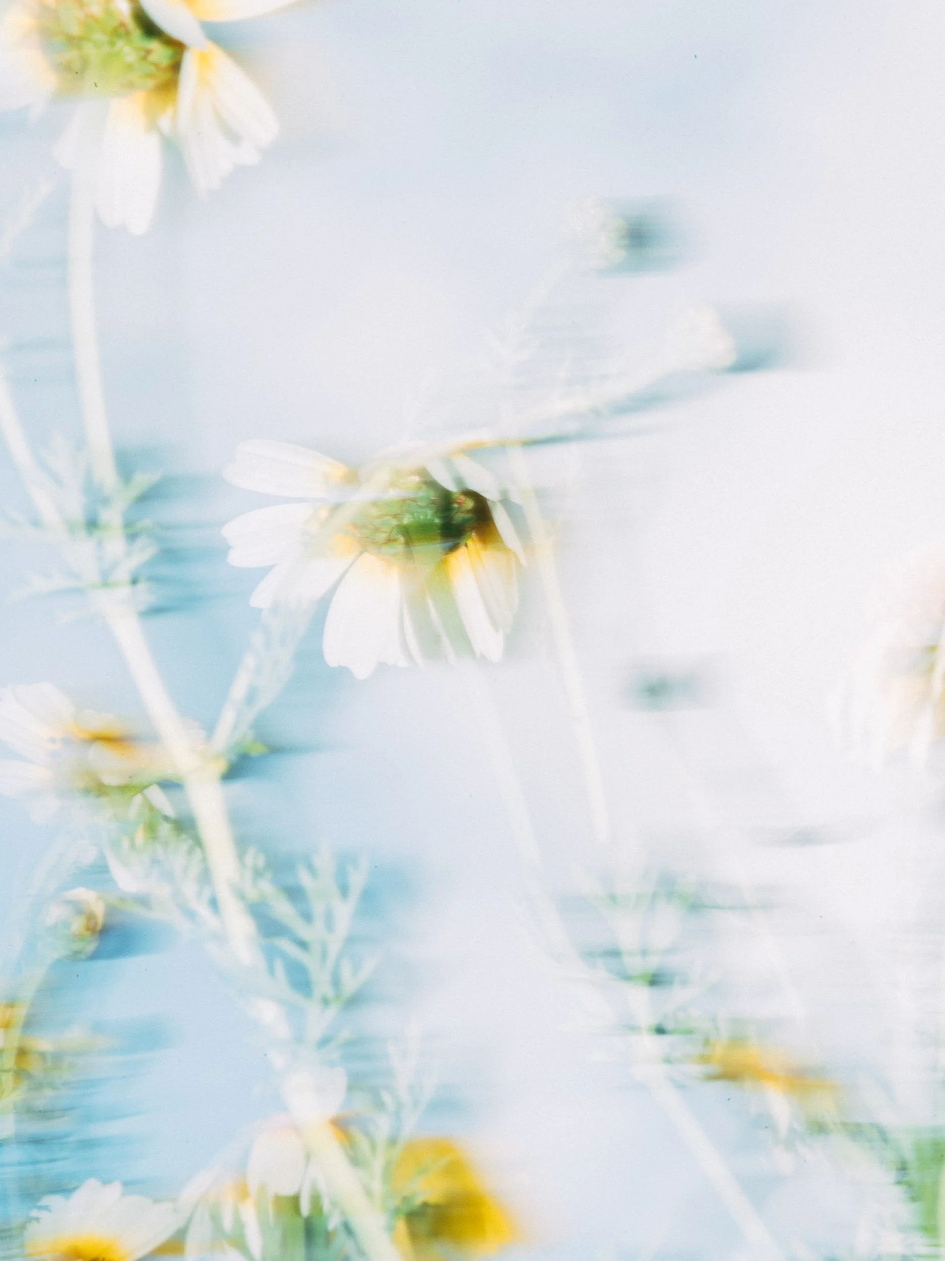 C.05 — № 05, 2025