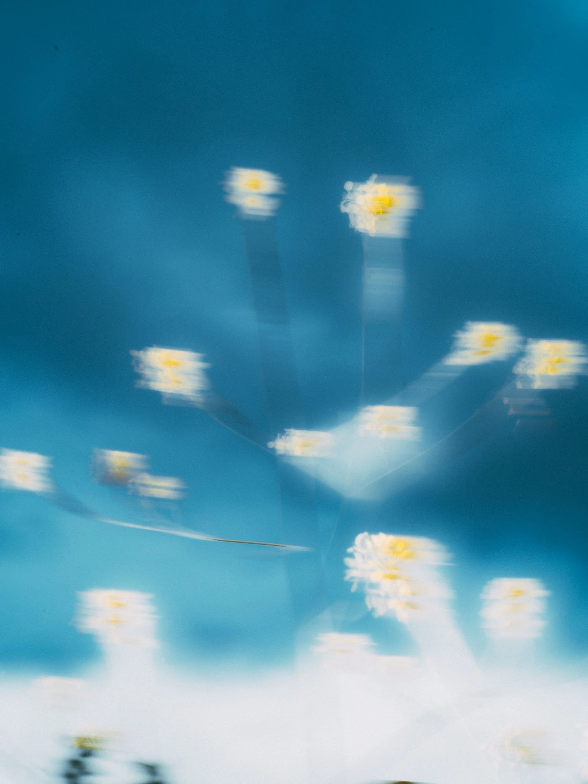 C.03 — 03 No.0, 2025_Margo Ducharme