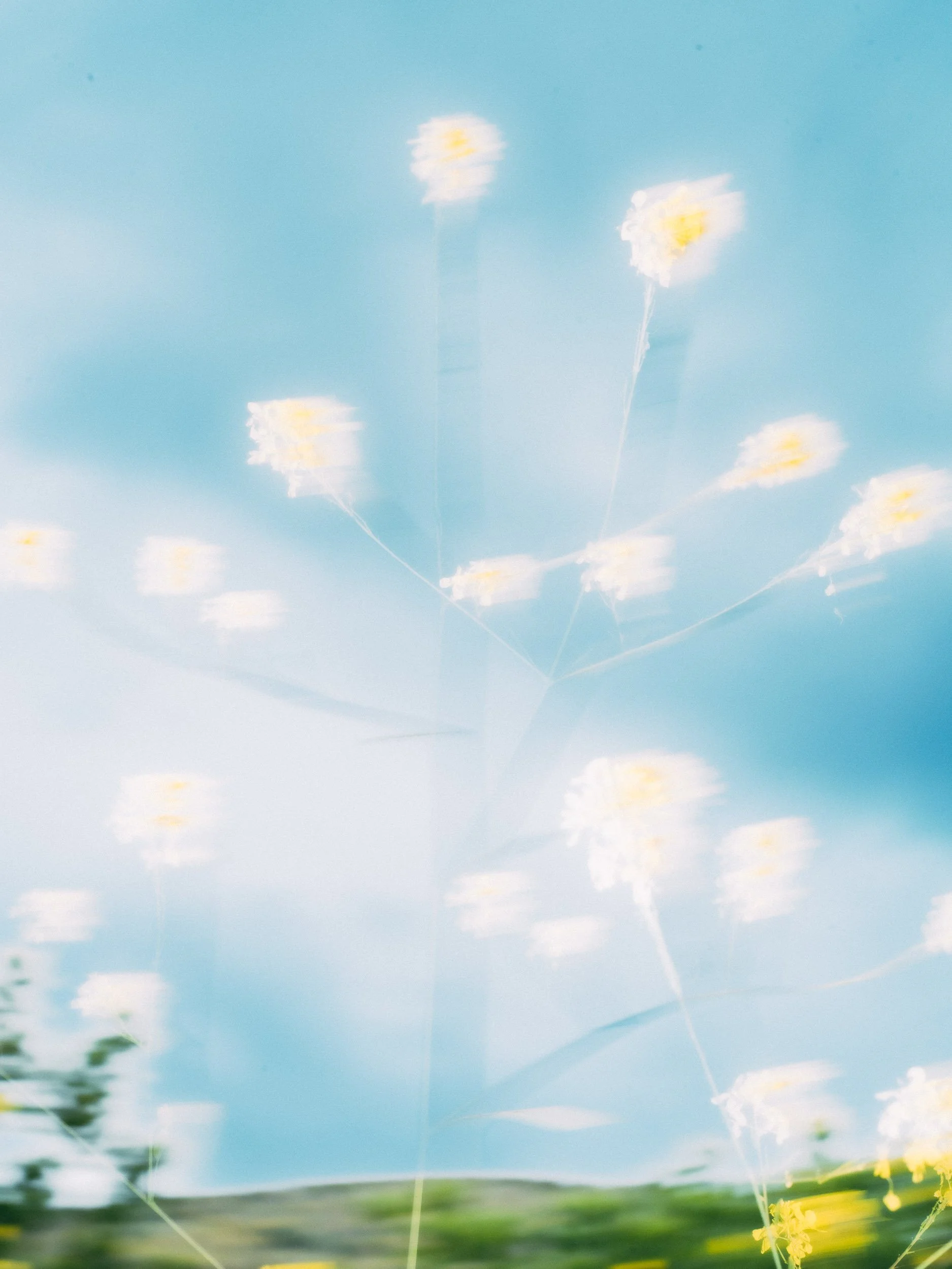 Blurred image of blue sky with white clouds and green landscape at the bottom, with some light streaks and motion effects.