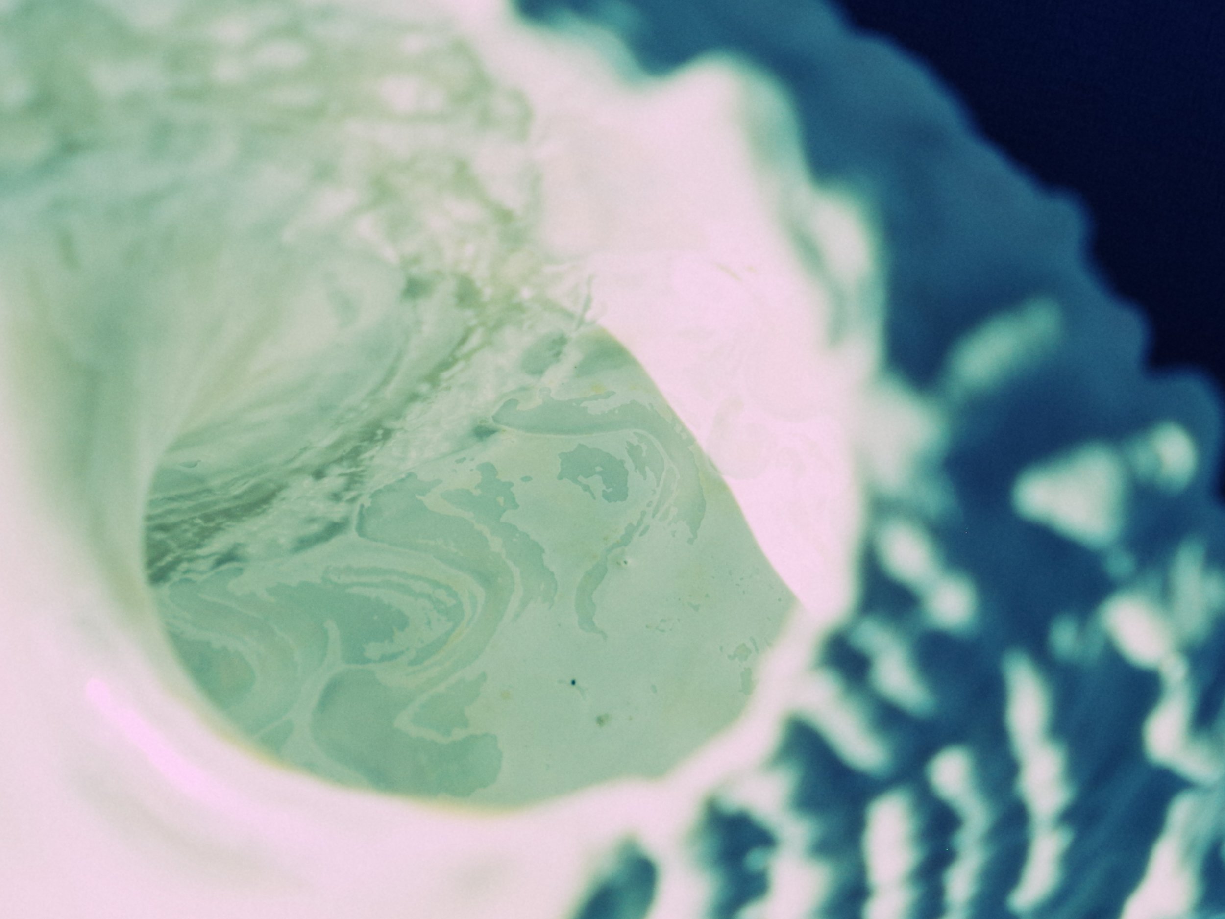 Close-up of shell, abstract shades of green, white, and dark blue.