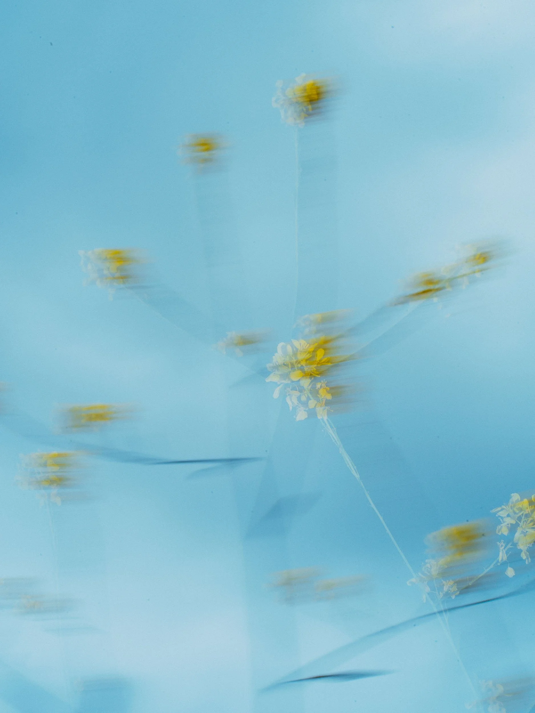 C.03 — №08, 2025_Margo Ducharme