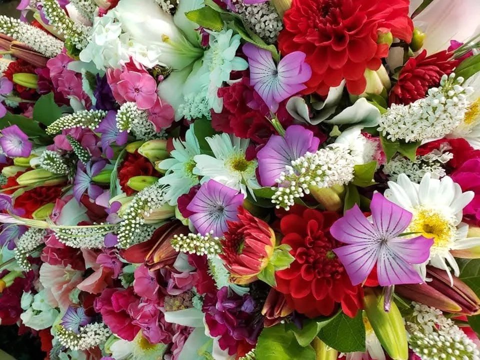 A dense field of pink, white, and light purple daisies with yellow and brown centers.