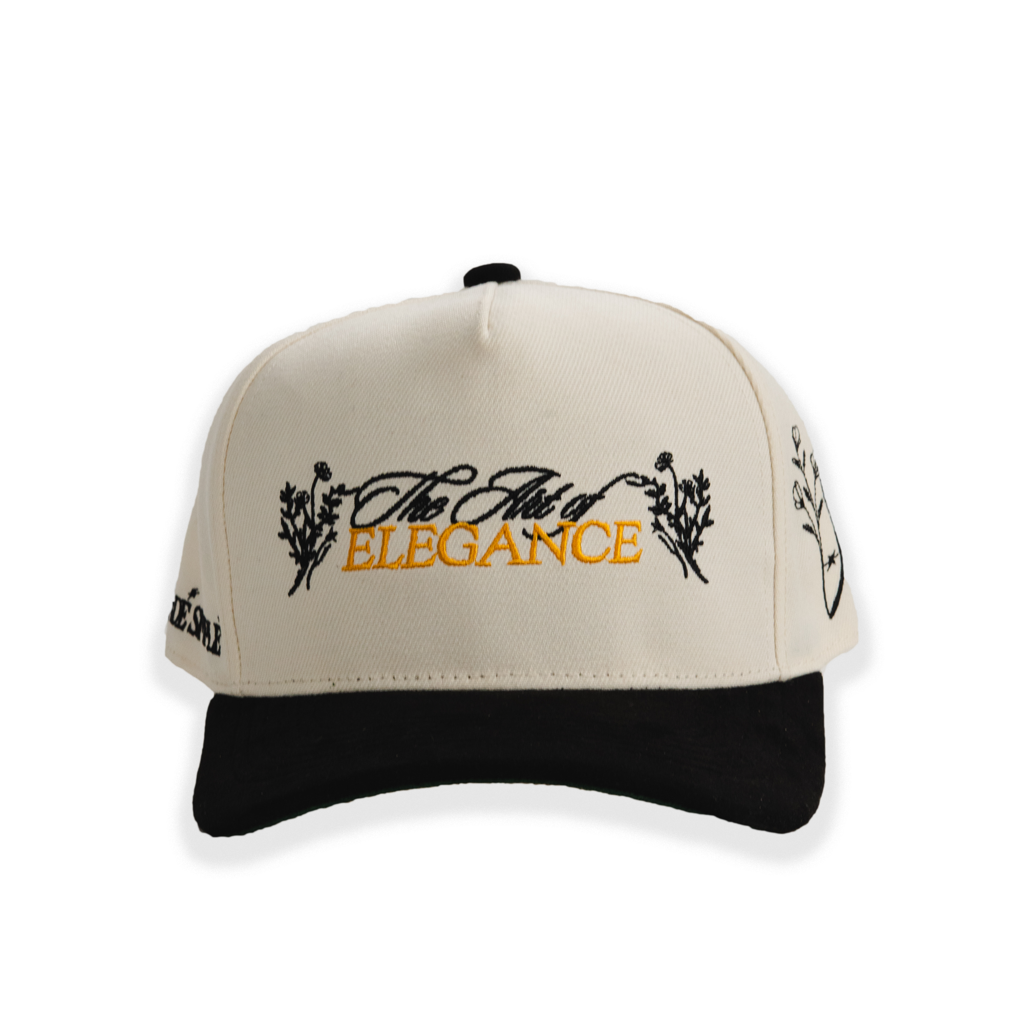 ART TRANSP WEB 4.png