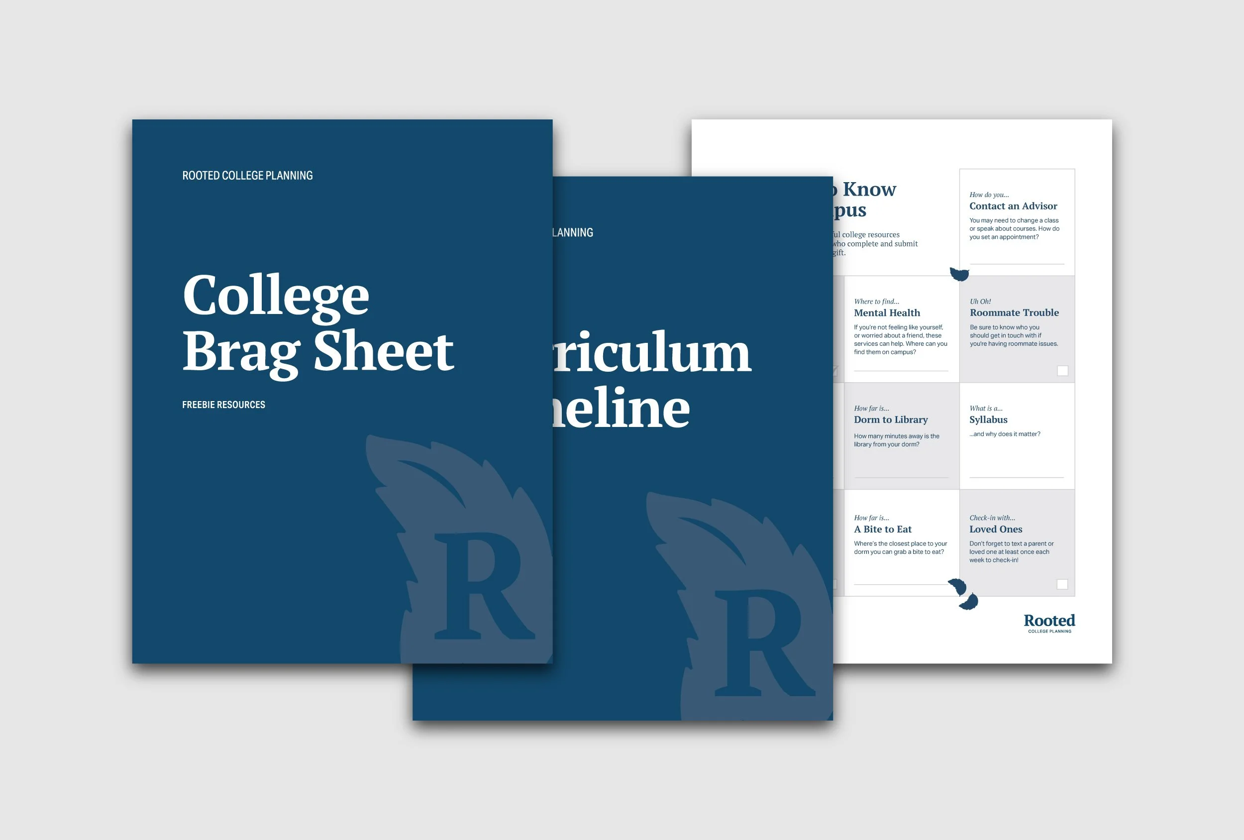 Cover images for three different free student resource documents