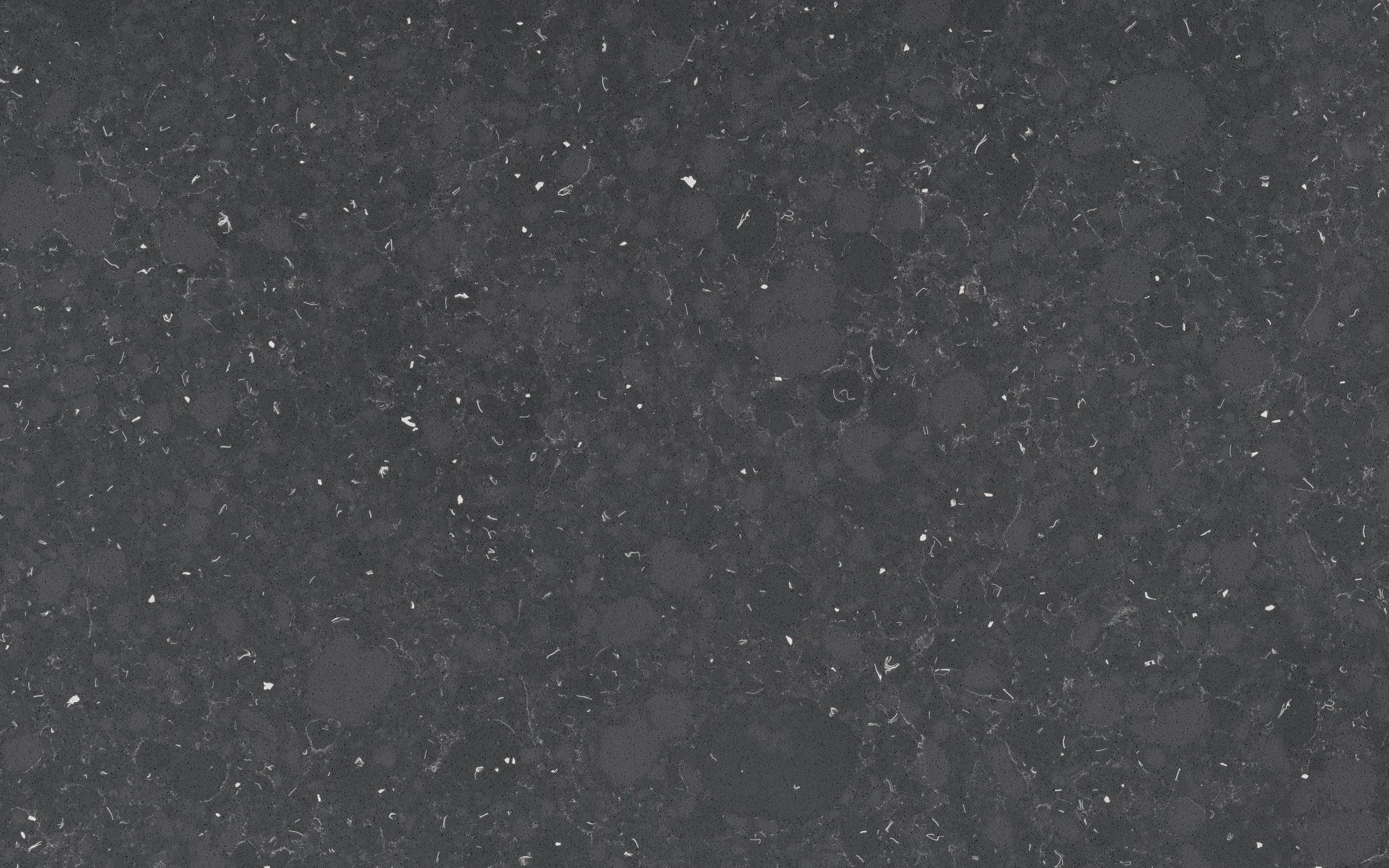 detail.jpg (Copy)