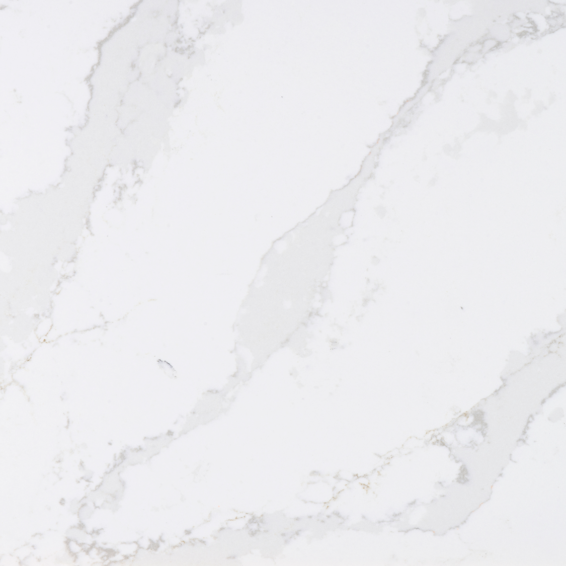 detail.png (Copy)