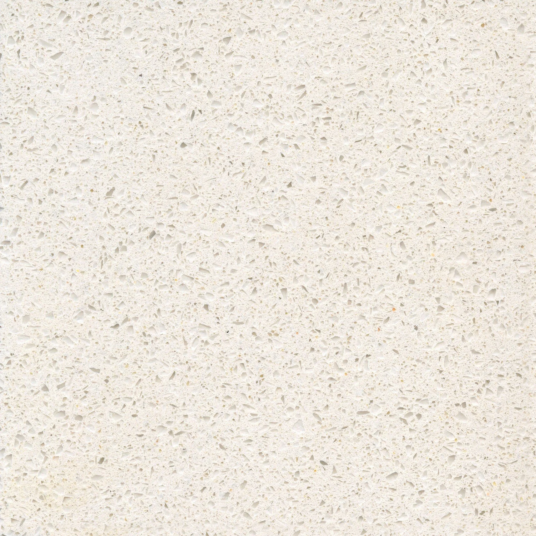 detail.jpg (Copy)