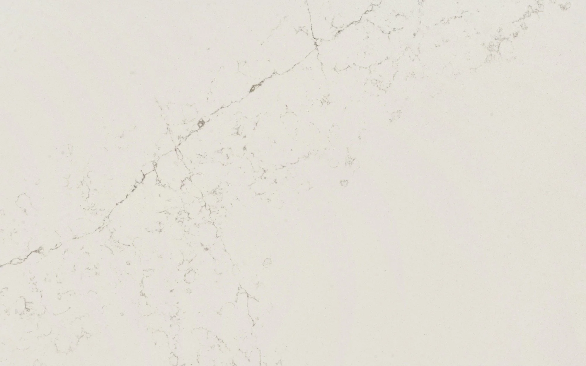 detail.jpg (Copy)