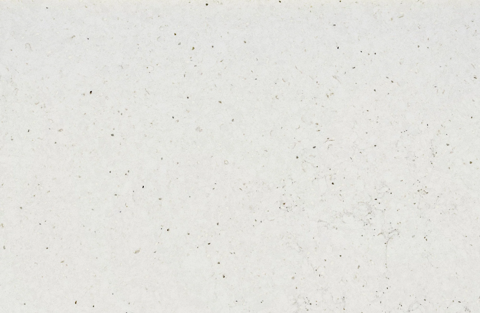 detail.jpg