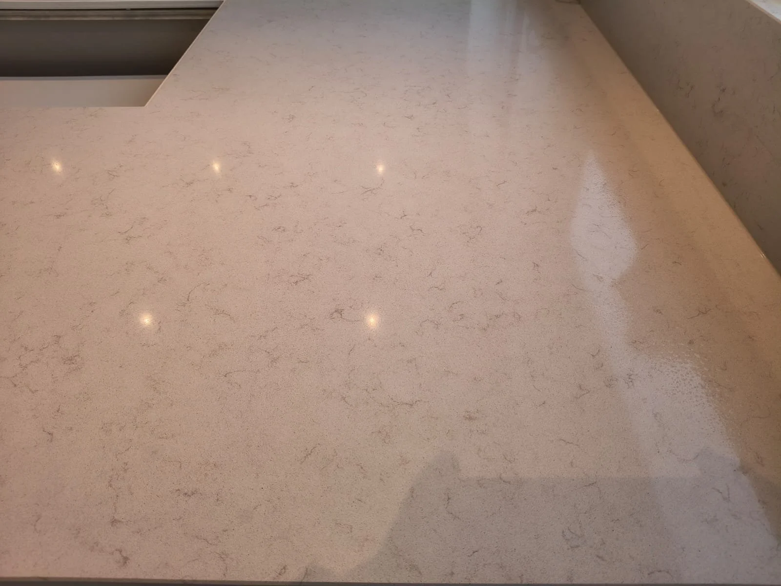 Noble vintage close up.jpeg