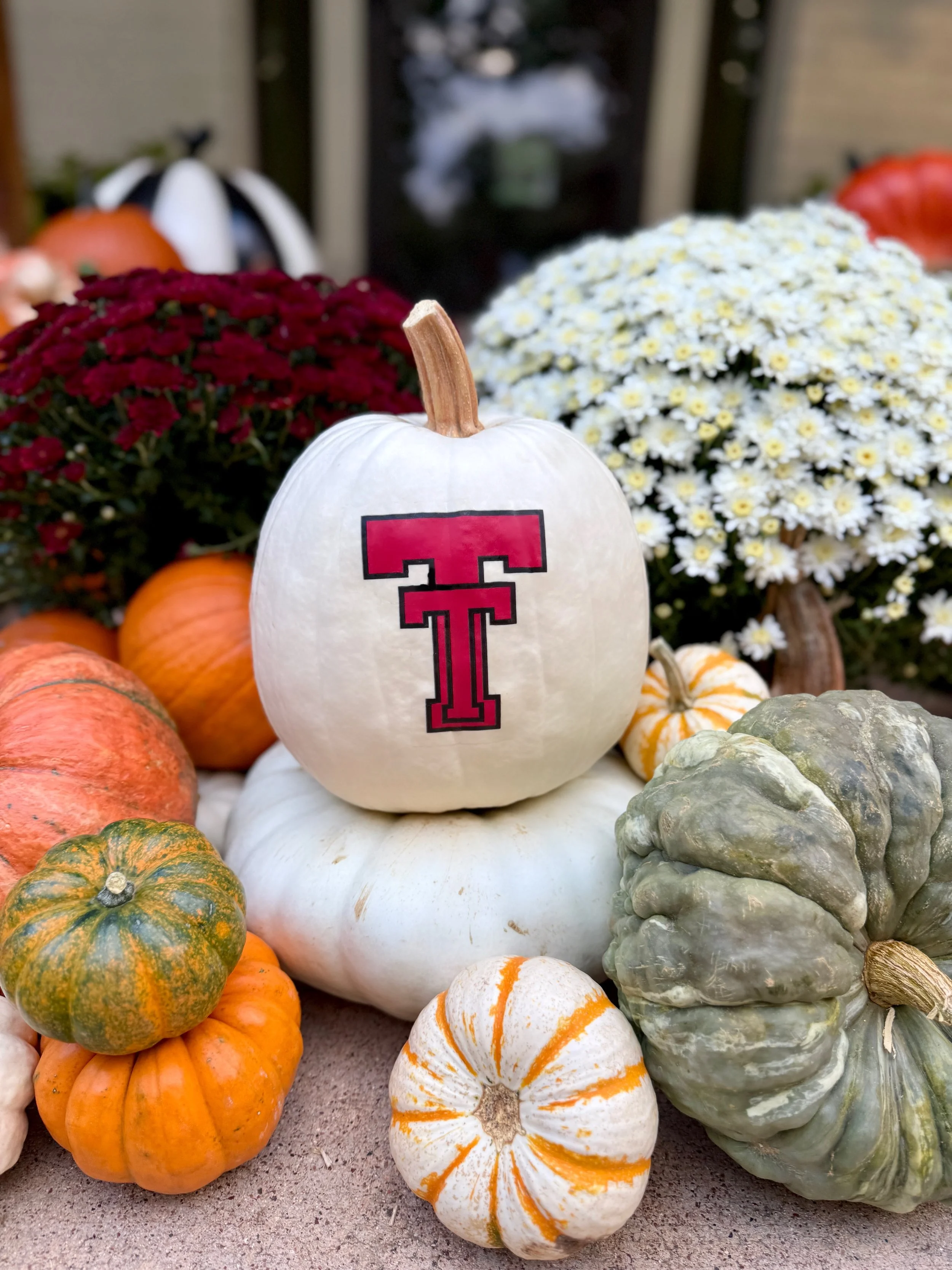 The Red Raider Package