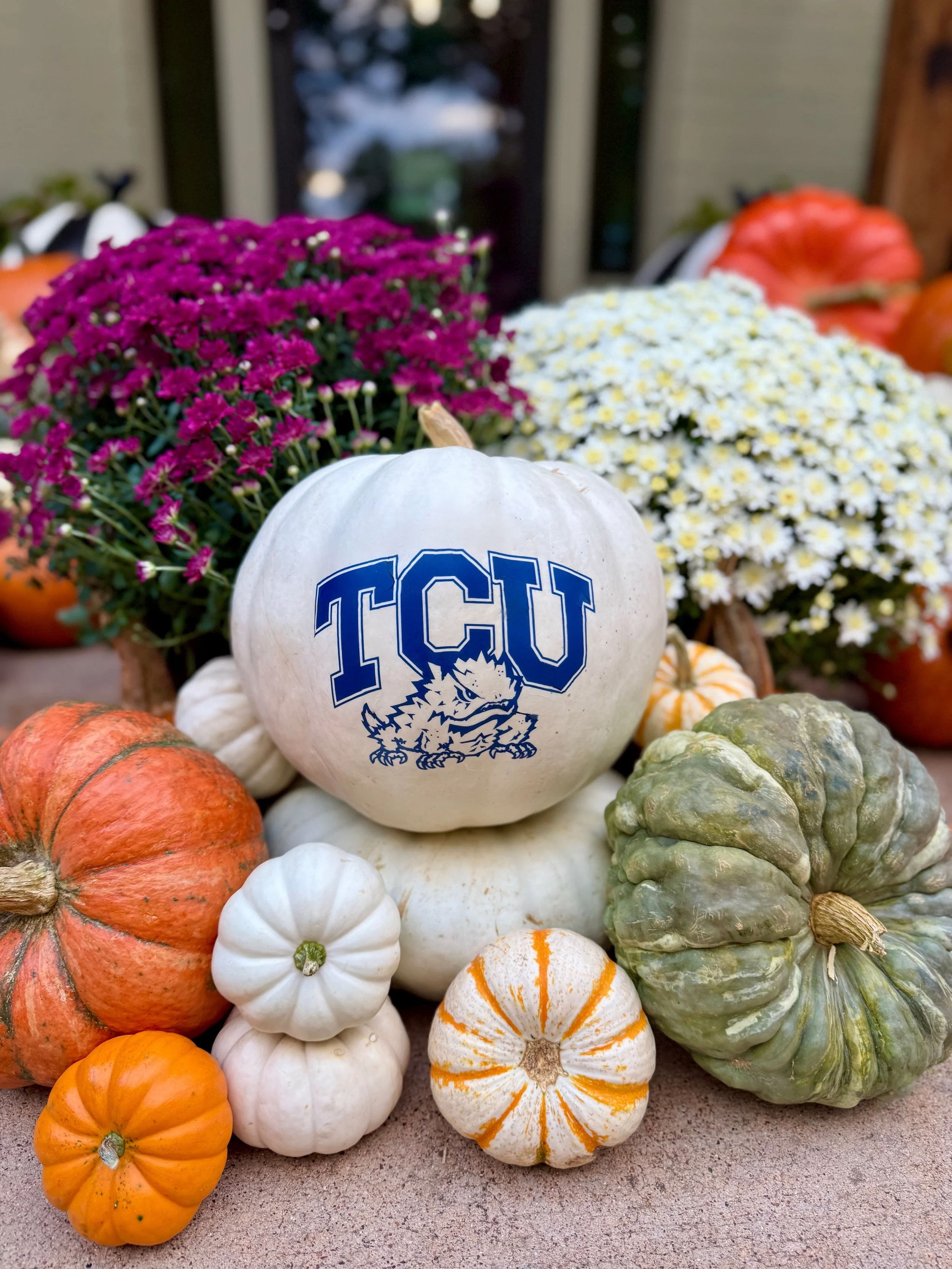 Custom College Team Pumpkin