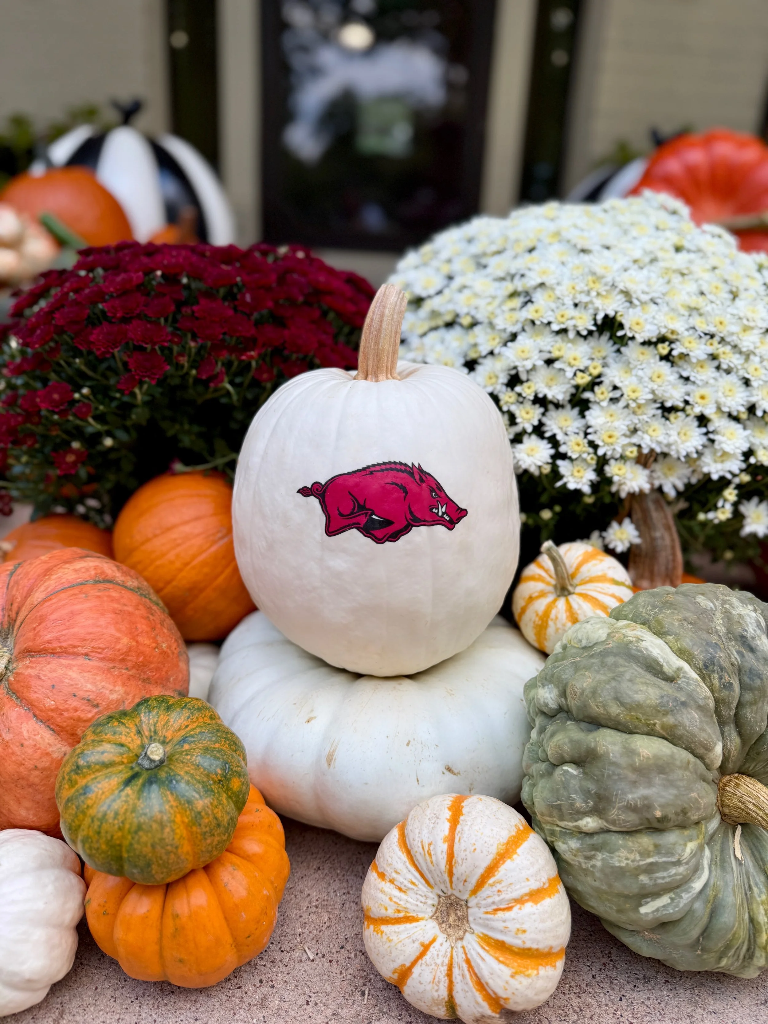 The Razorback Package