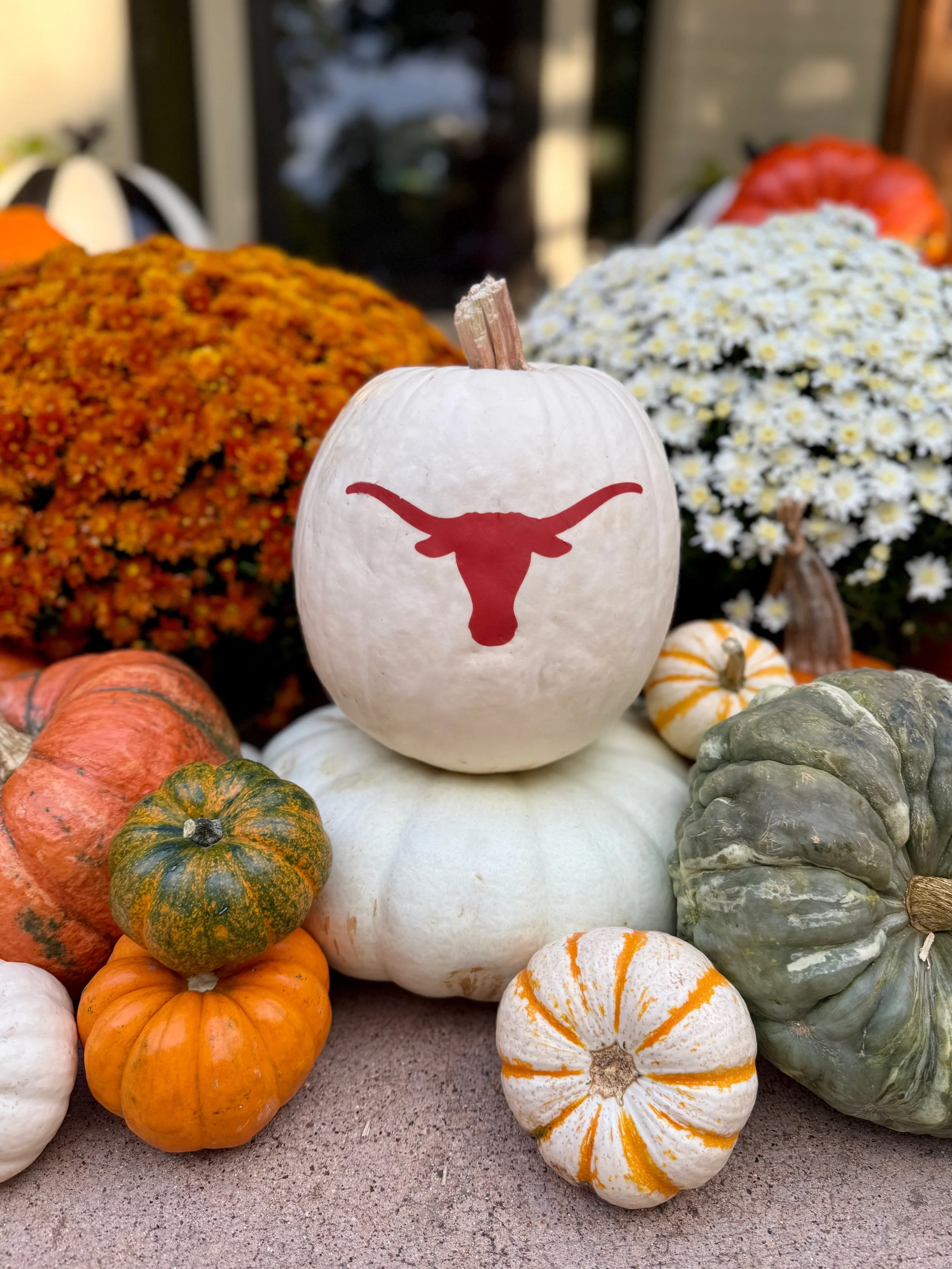 The Longhorn Package