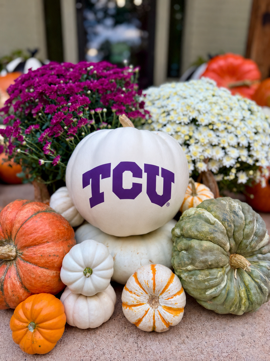 The Horned Frog Package