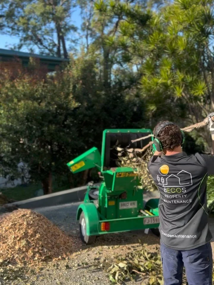 The boys have been absolutely smashing it at our Currumbin Valley project 💪

-Natural retaining walls
-5 cubic metres of mulch created and spread under trees
- Natural steps running down the property&rsquo;s slope
-Palms relocated from property and 