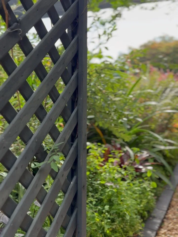Swipe to see transformation ➡️
Tapered garden pathway completed this week in Robina 📍
