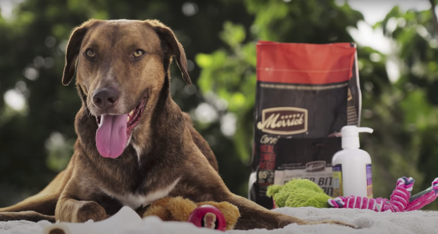 Screen+Shot+2023-01-20+at+3.43.35+PM copy.png