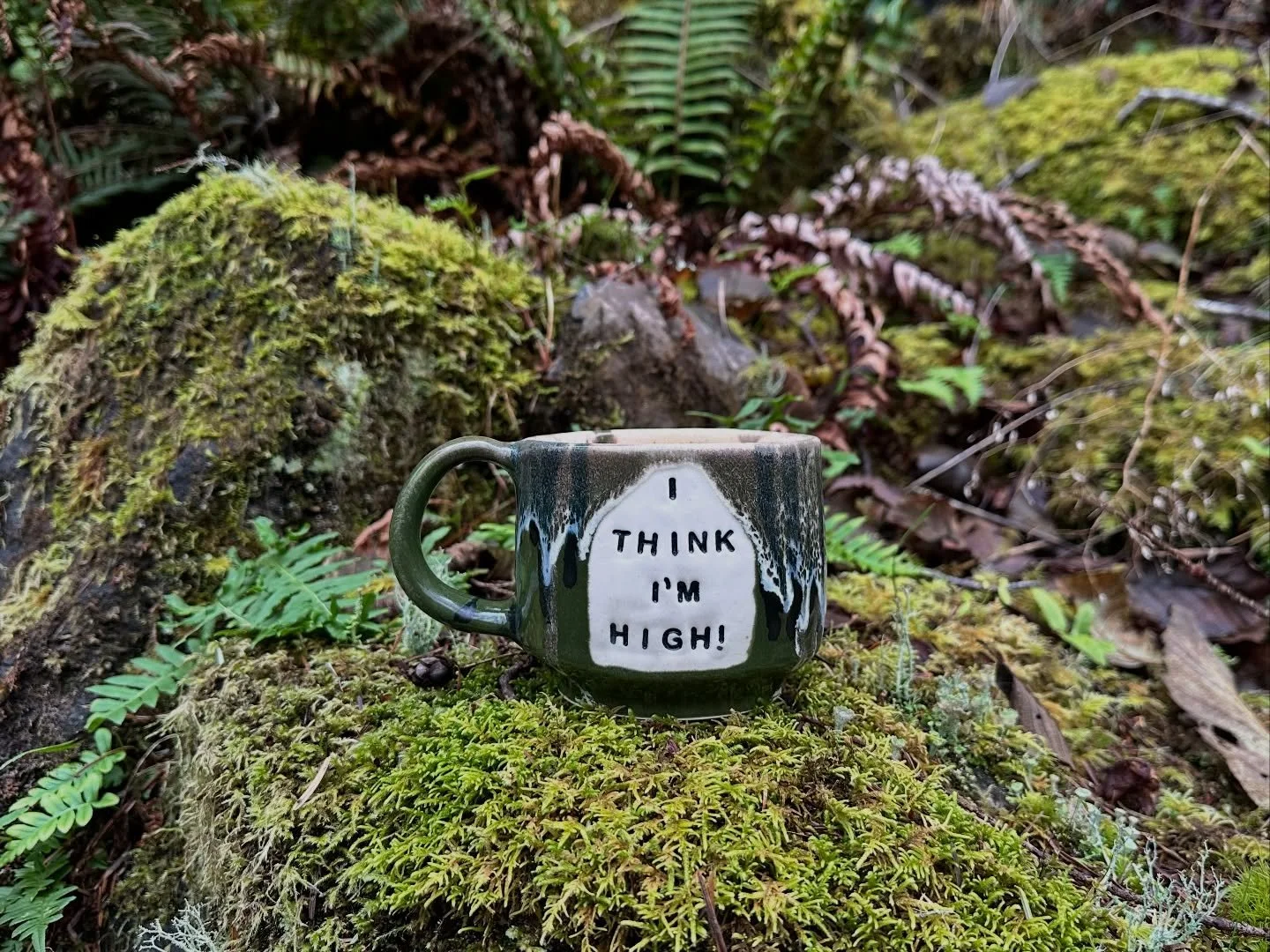 any Jerry Horne season 3 stans? new work (including this one) available now! link in bio!
.
.
.
.
#twinpeaks #twinpeaksart #twinpeaksfanart #davidlynch #davidlynchfanart #davidlynchart #pottery #potteryofinstagram #ceramics #mug #twinpeaksmug #twinpe