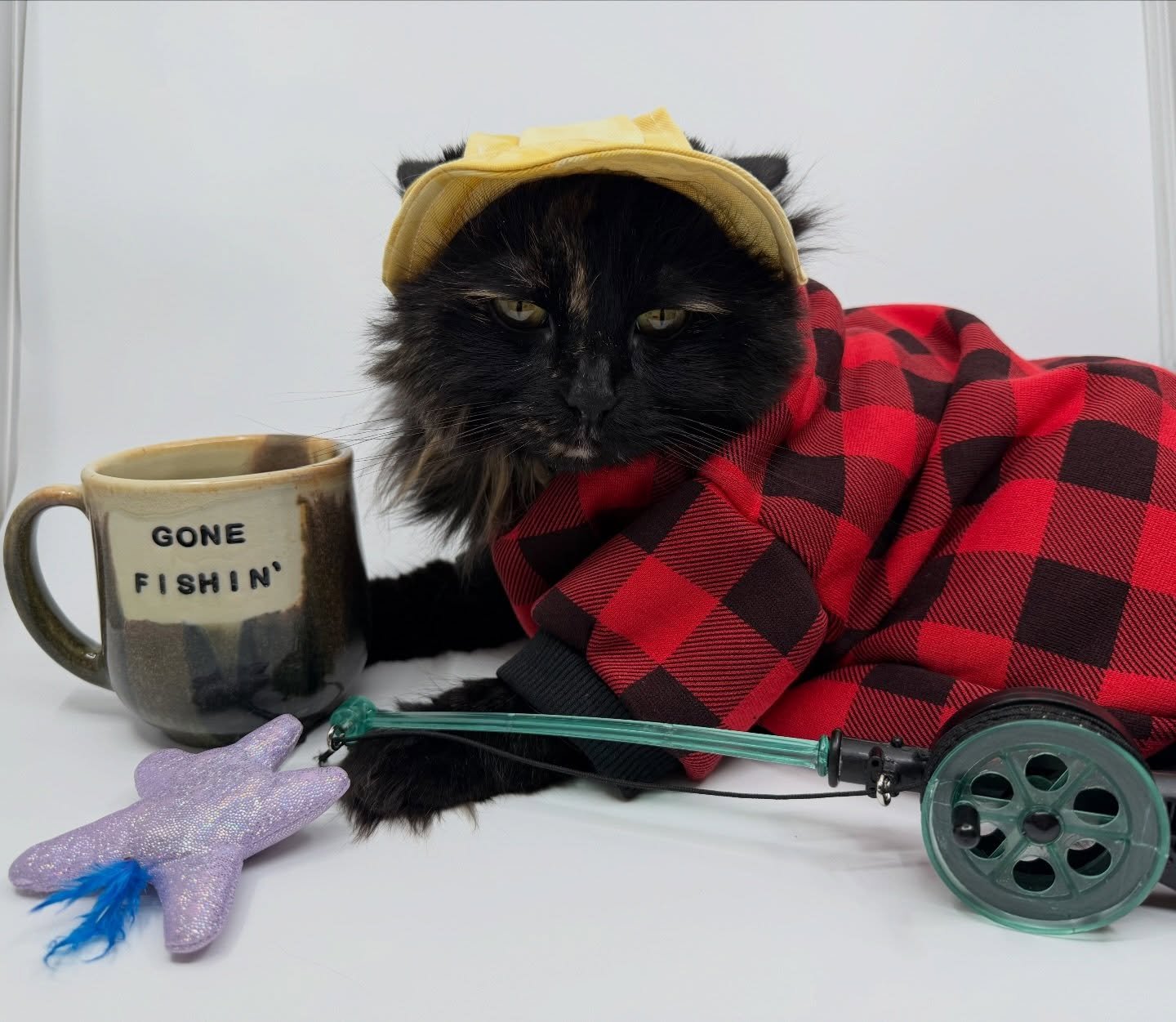 Fellas! Don&rsquo;t drink that coffee! There was a cat in the purrcolator! 
.
.
.
Check out this mug and others in Friday&rsquo;s drop! 12pm PST, link in bio!
.
.
.
#twinpeaks #twinpeakscat #petemartell #jacknance #twinpeaksfanart