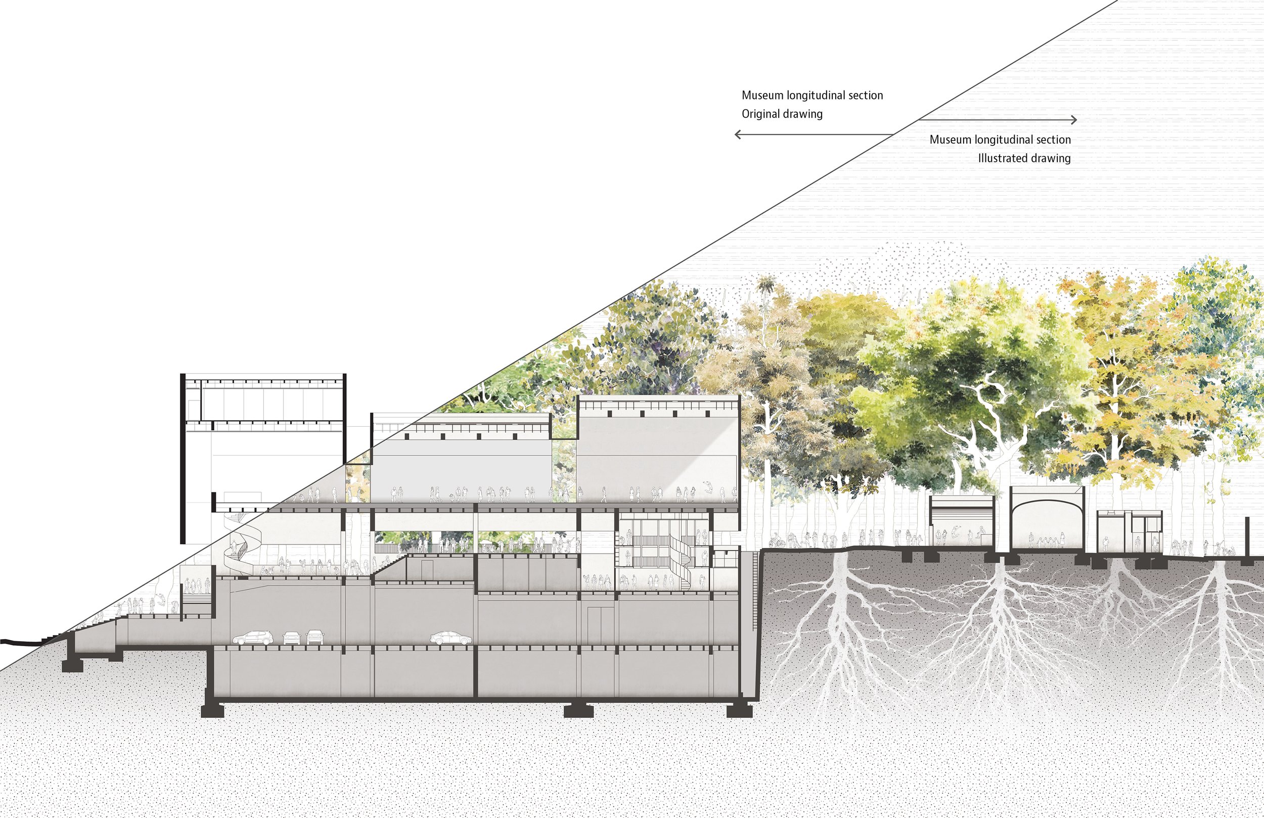 Architectural drawing of a building's underground and ground levels with trees and landscaping above, indicating museum sections and original versus illustrated drawings.