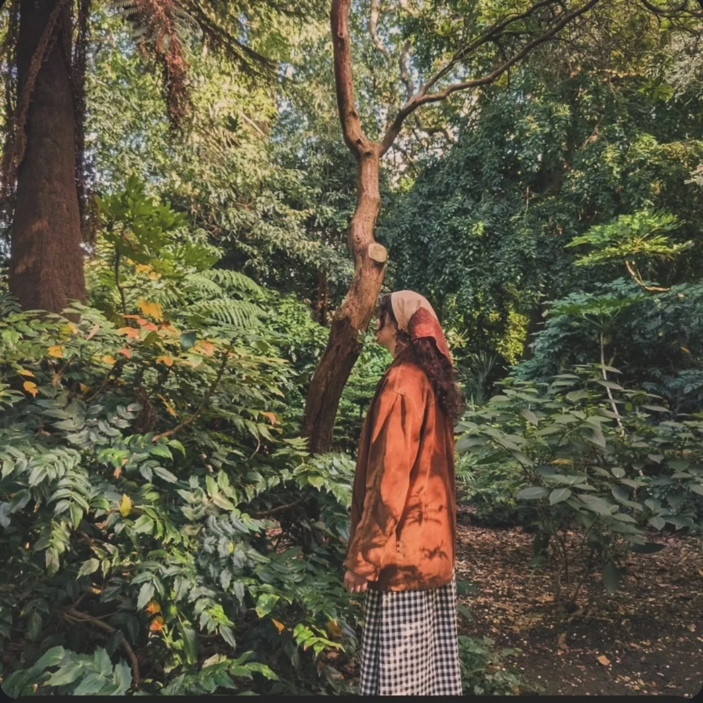 Hello 👋 

I thought my first post should be an introduction of sorts, so here I am (albeit nervously).

My name is Rose, and I am a writer from the Forest of Dean, currently living in Cornwall. I started writing as a teenager, entering poetry compet