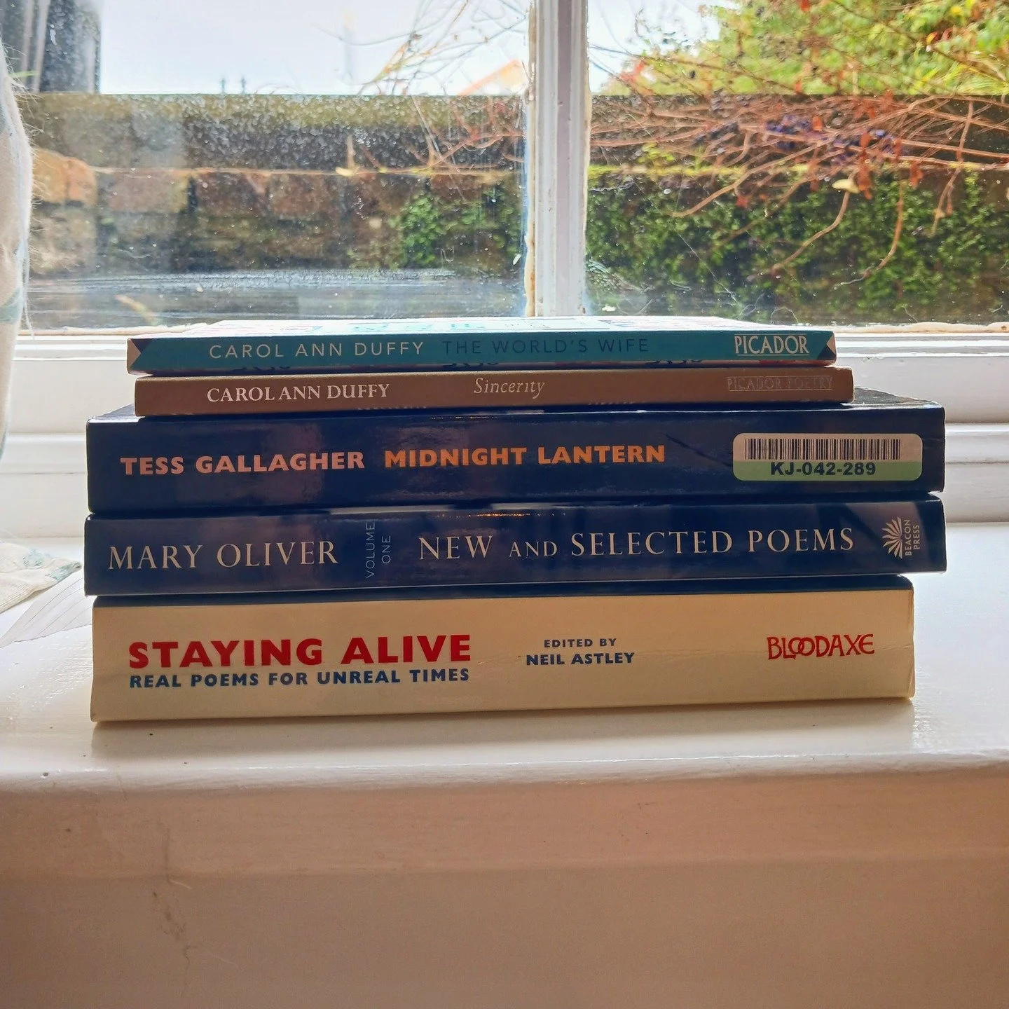 Current poetry stack helping me through this writing period 📖

Getting back into writing poetry after a long break is a strange thing, it feels very experimental and sometimes more tiring than I remember it being. Words seem more out of reach and im