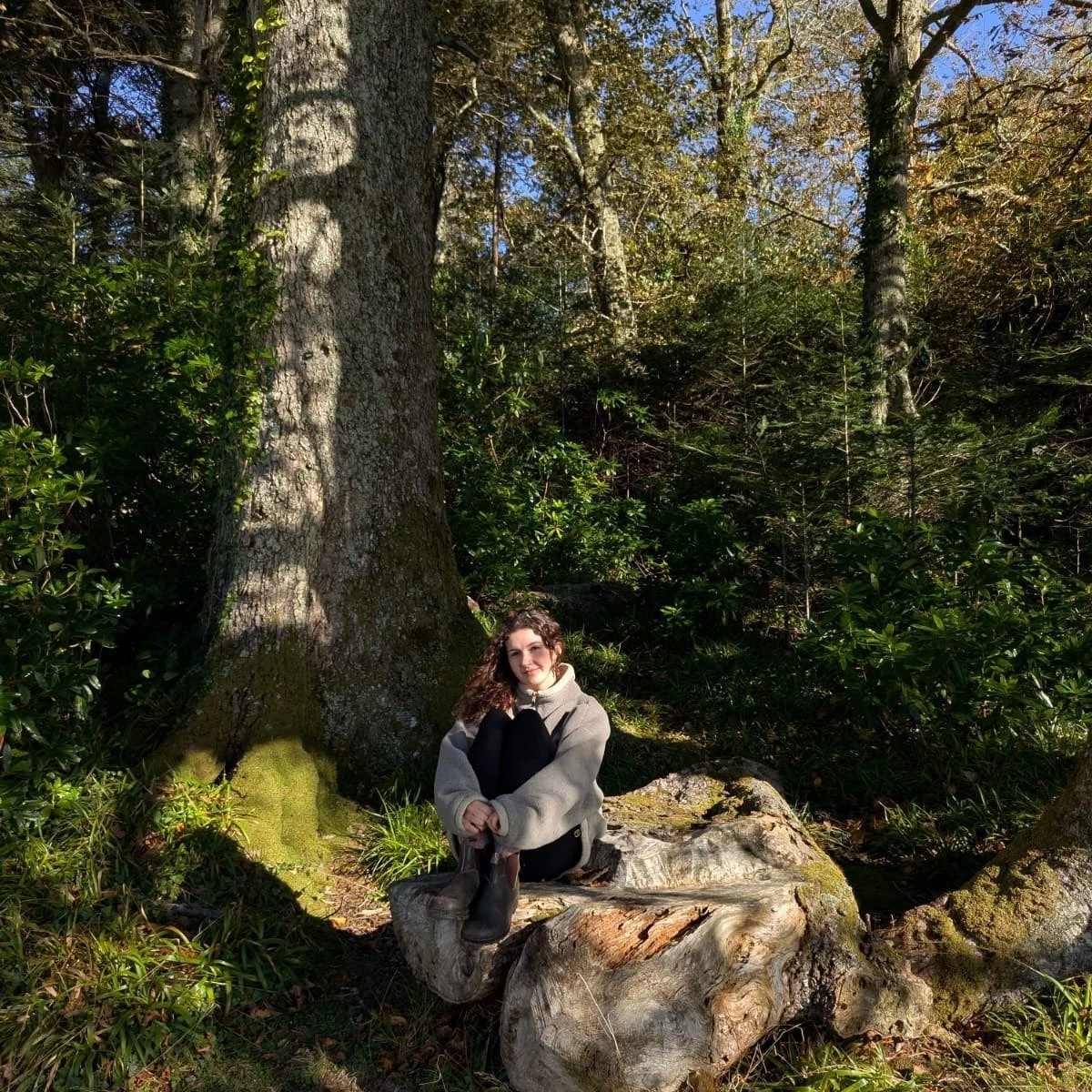 Never too far from a forest....