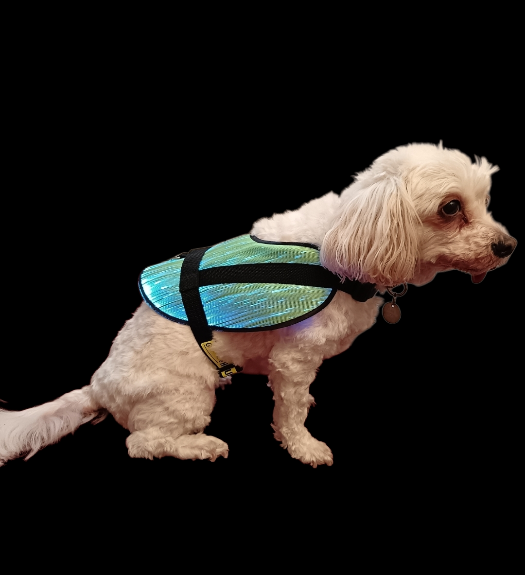 Glow-More Vest – Fibre Optics LED Dog Vest - Small