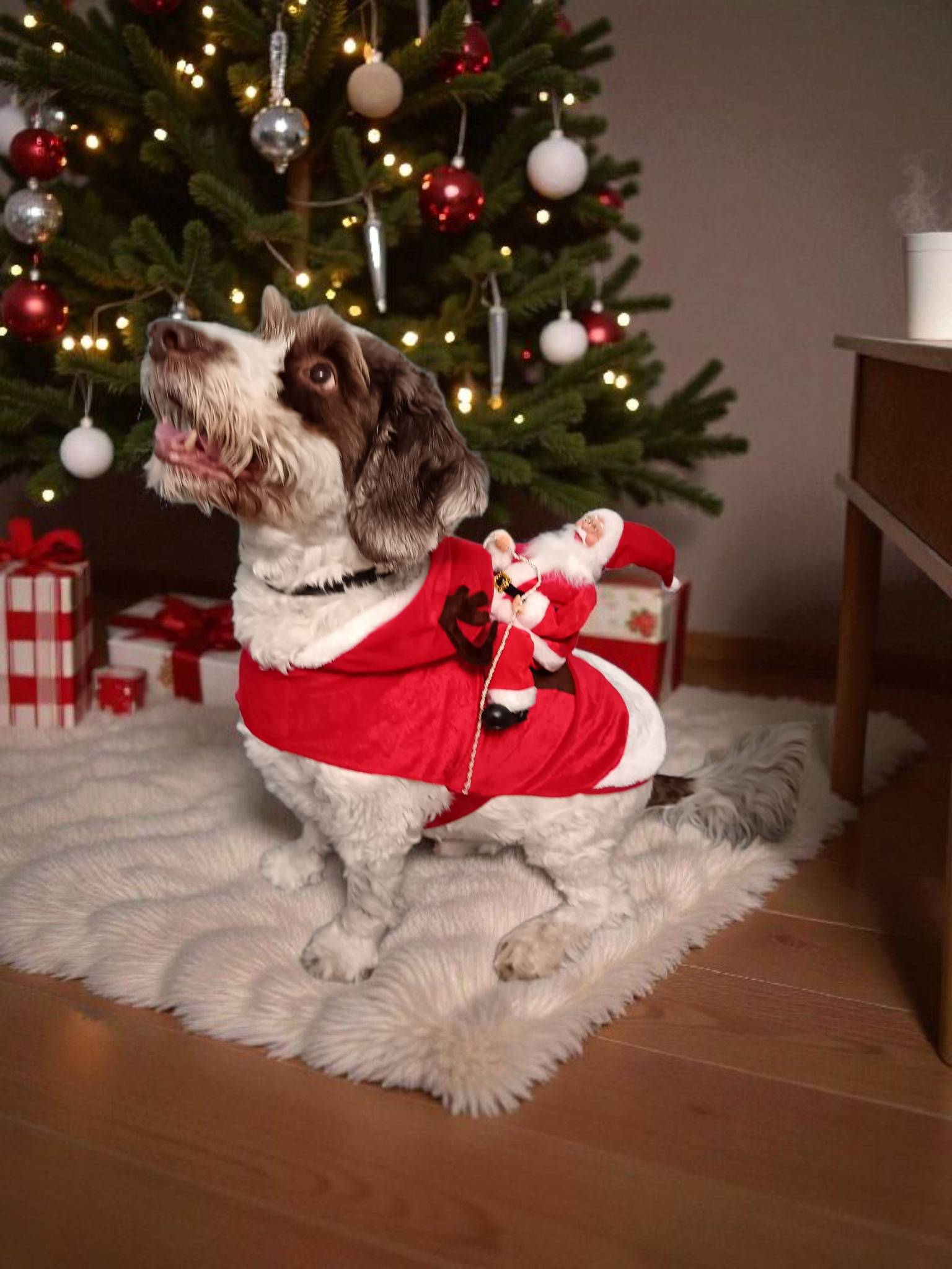 Festive Santa Dog Coat - Limited Stock