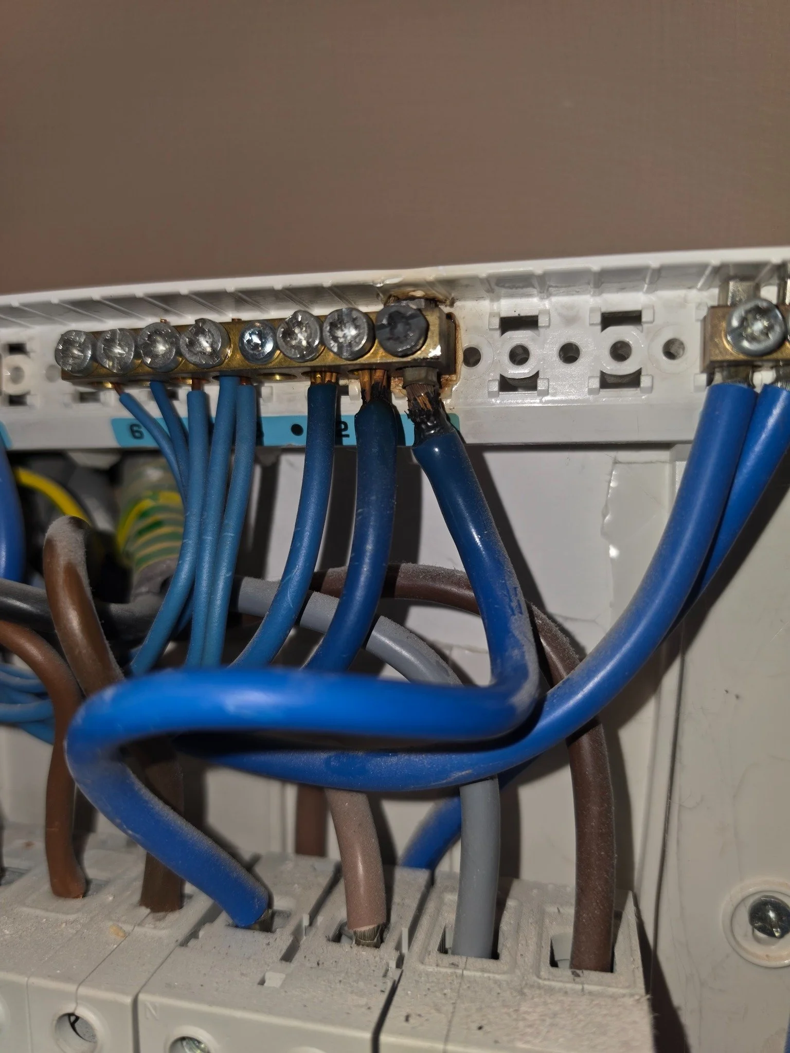 2. The fault found: overheated neutral-bar connections, damaged blue wire insulation and heat marking on the surrounding plastic.