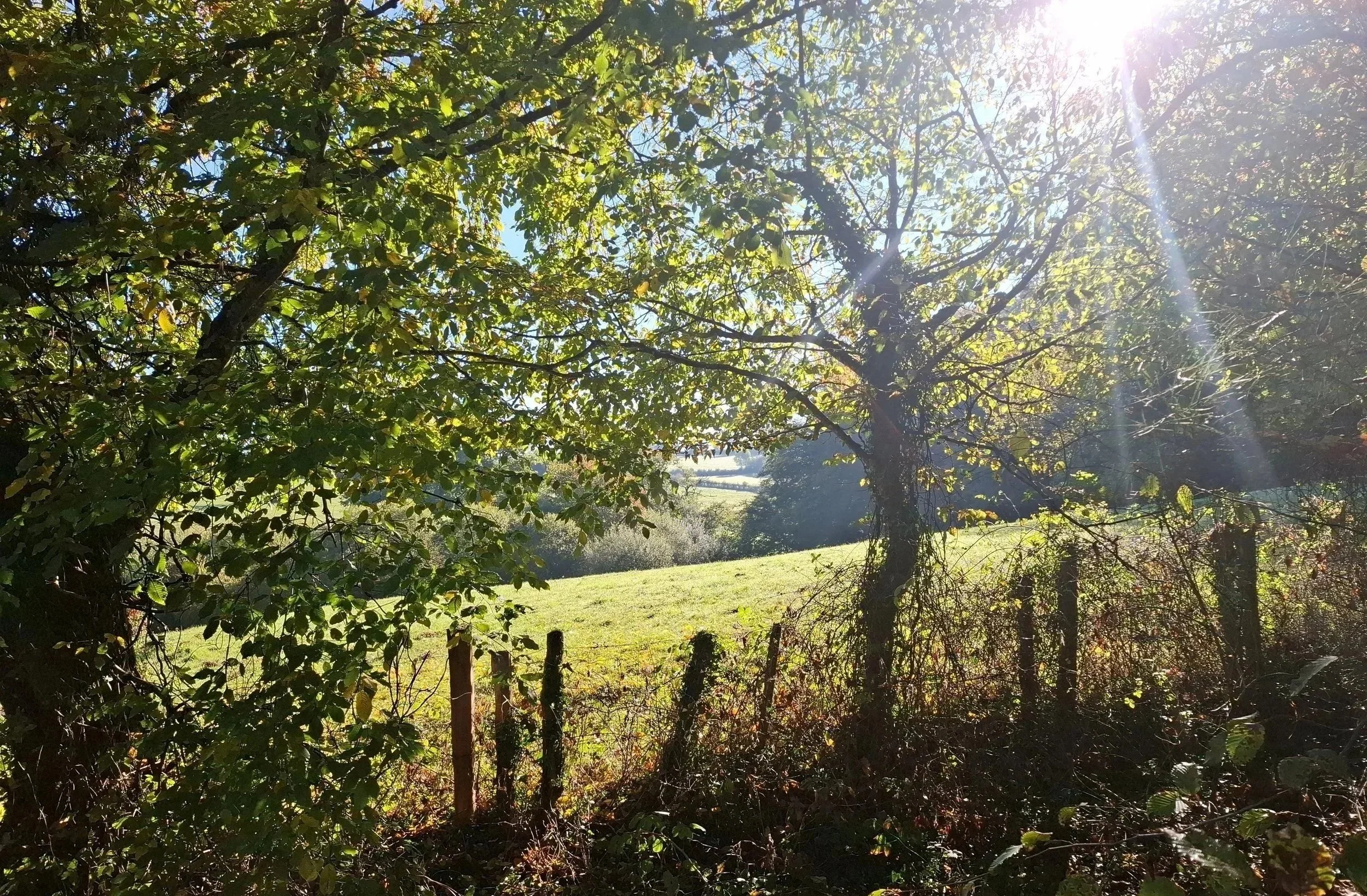 De omgeving van uw verblijf
