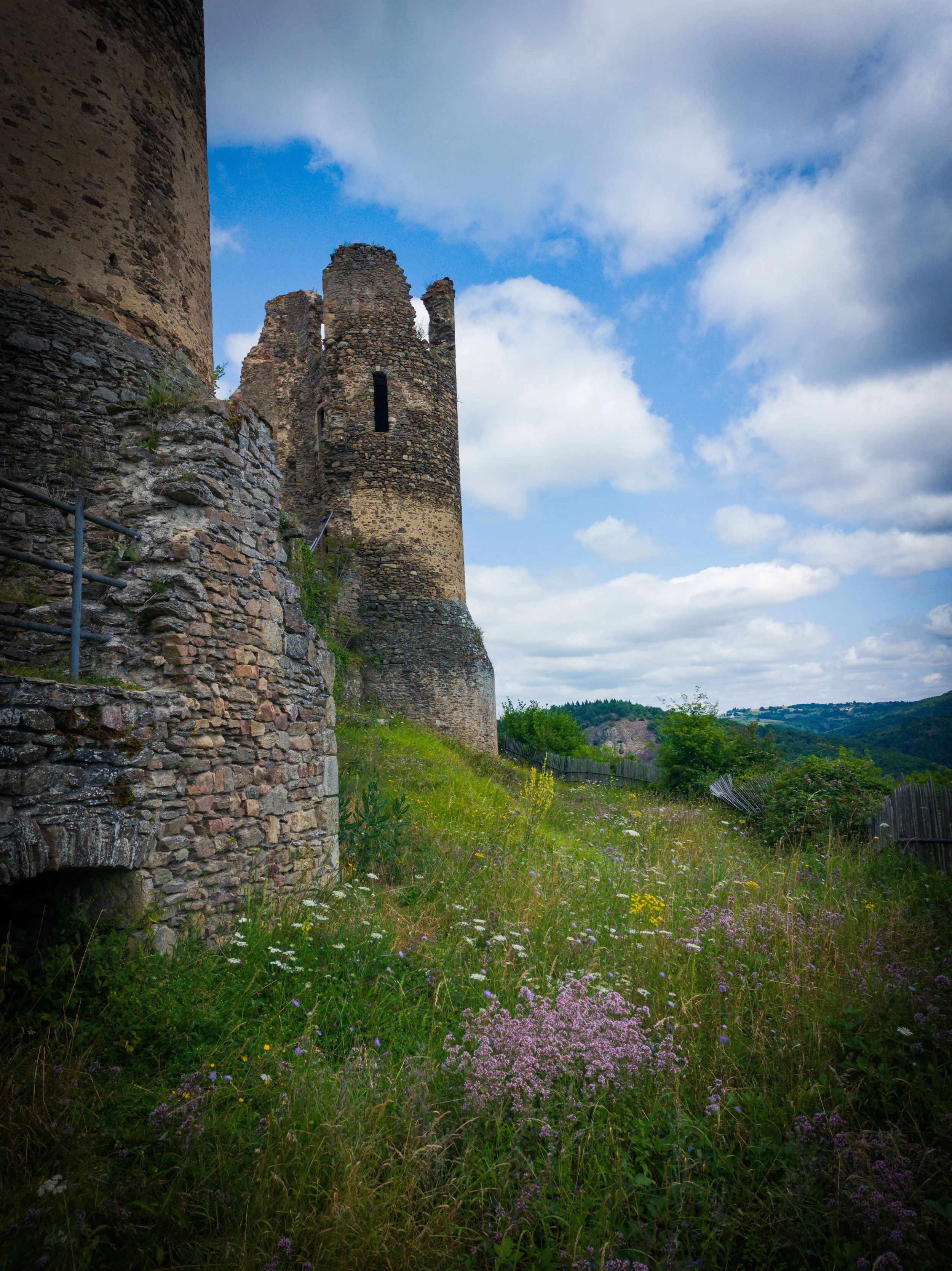 Ancient stone castle ruins on a grassy hillside with wildflowers, under a partly cloudy sky.