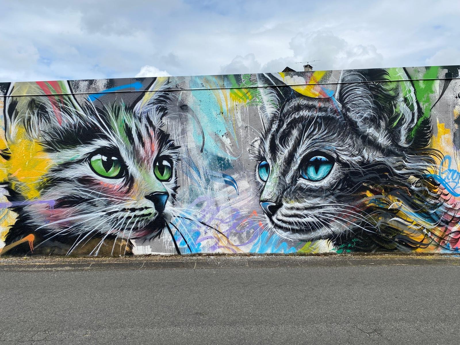 Colorful street art mural of two cats with piercing eyes, one with green eyes and the other with blue, painted on a wall in an urban setting.