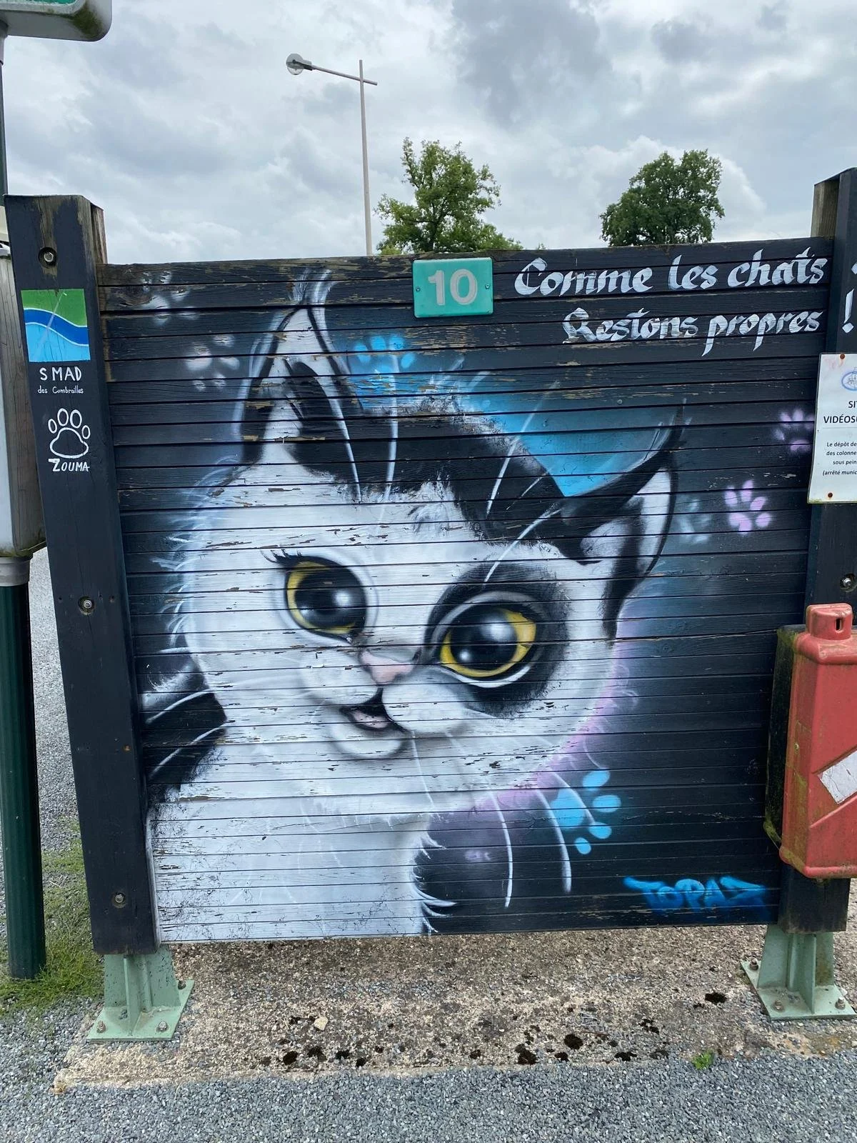 Graffiti mural of a cat with large yellow eyes, a pink nose, and an open mouth, painted on a wooden fence, with a quote in French that reads 'Comme les chats, questions propres!'