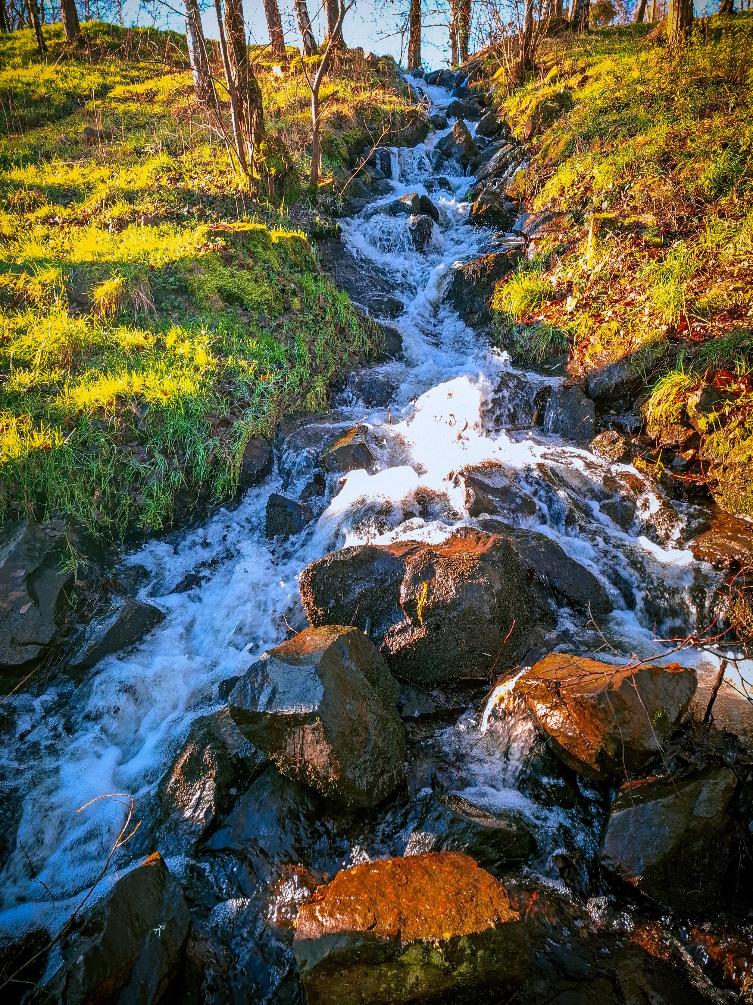 A small waterfall flowing over rocks in a forested area with bright green grass and trees, under a blue sky.