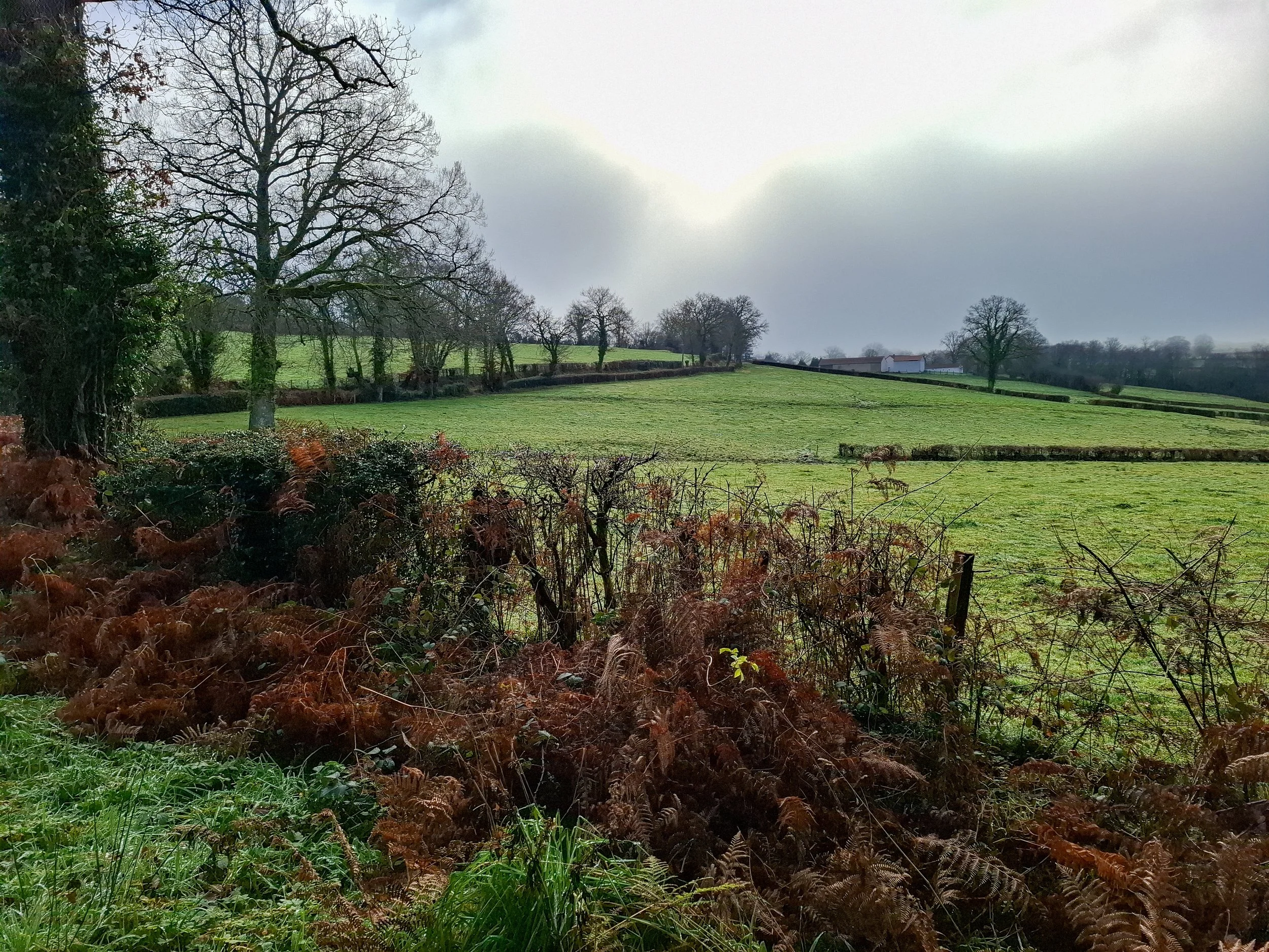 A peaceful countryside scene with a green grassy field, trees with bare branches, and a cloudy sky.
