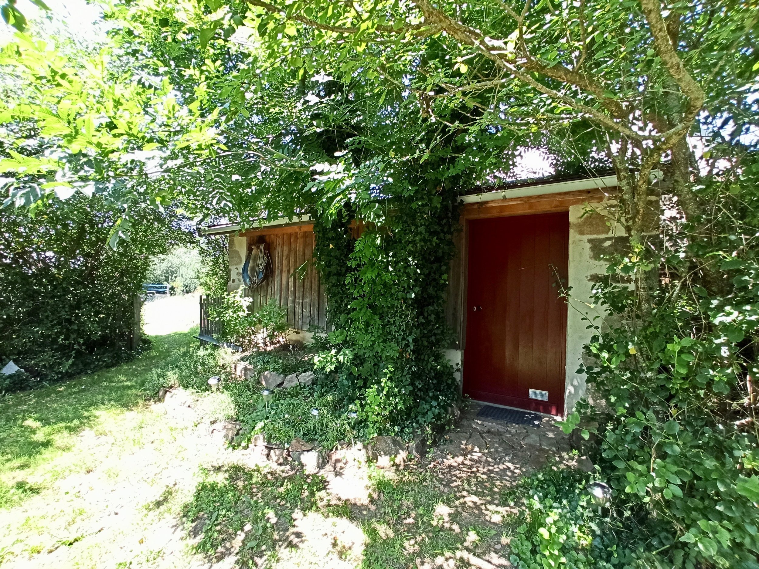 A rustic wooden door set into a stone wall, surrounded by lush green plants and bushes, with a tree overhead providing shade.