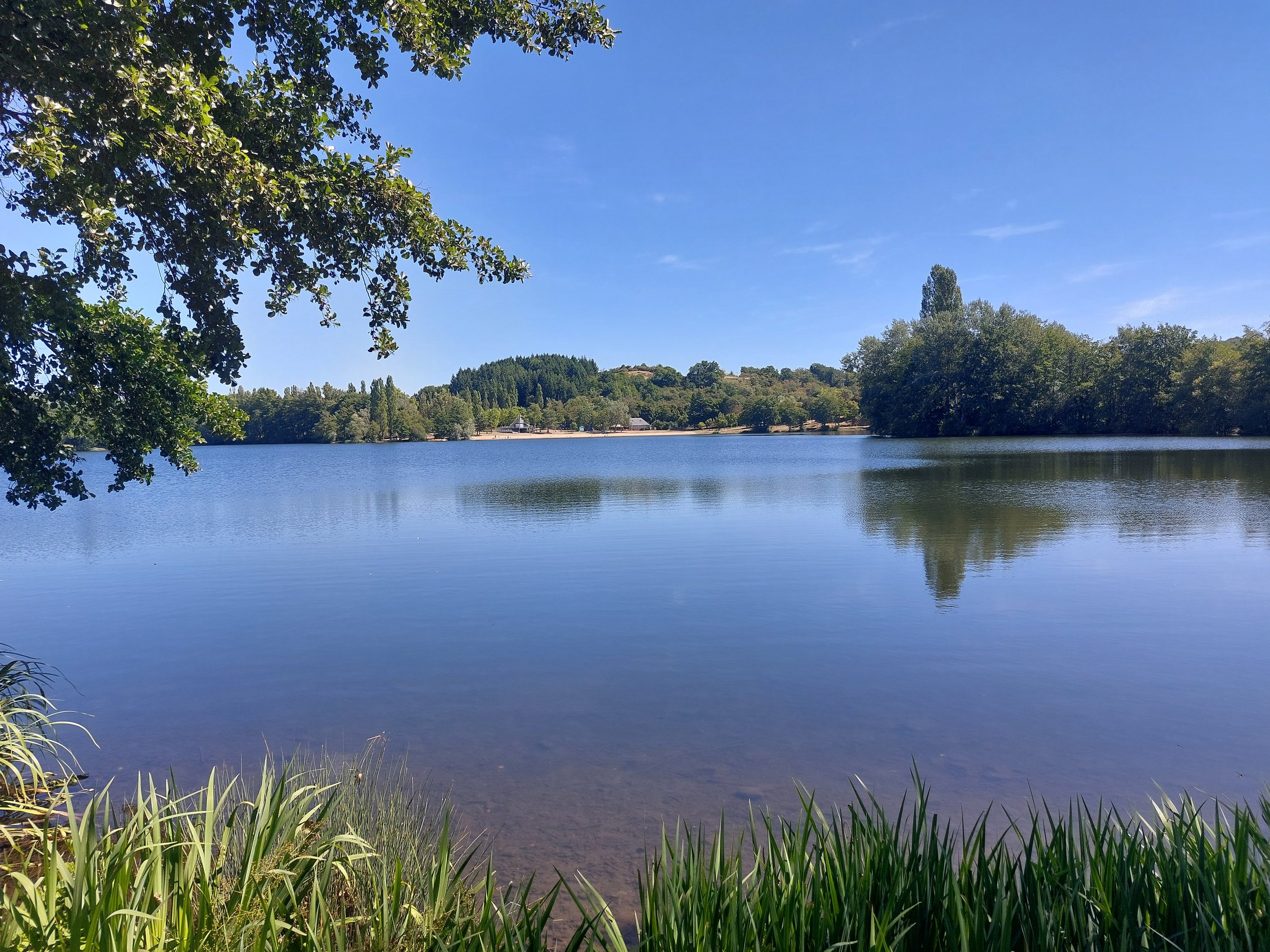 A peaceful lake scene with calm water, surrounded by green trees under a clear blue sky.
