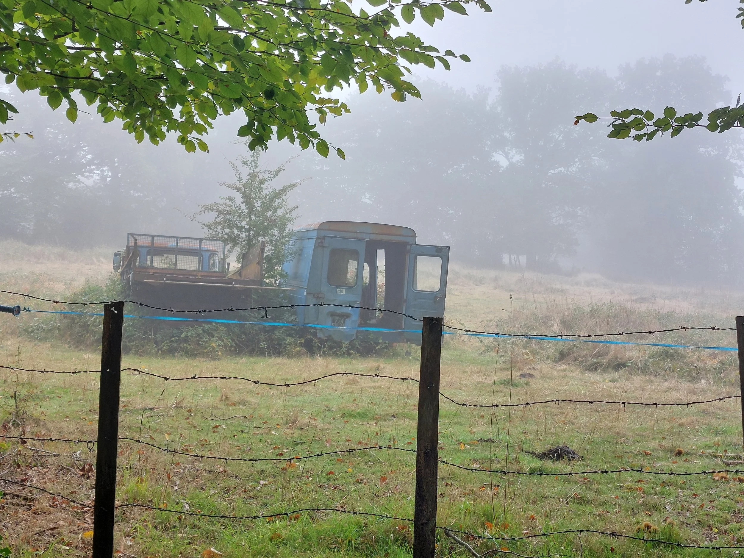 An old, rusty blue truck parked on a foggy grassy field, behind a barbed wire fence with green trees in the background.